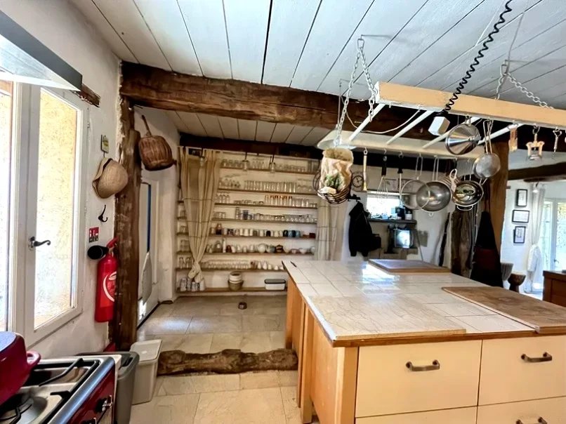 Maison d'hôtes à vendre L'Isle-en-Dodon, Haute-Garonne