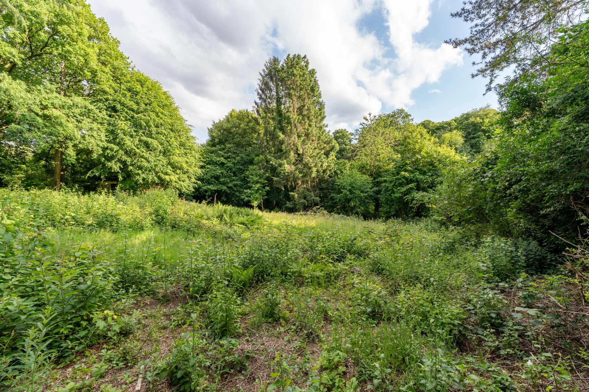 Arazi Uccle - picture 8