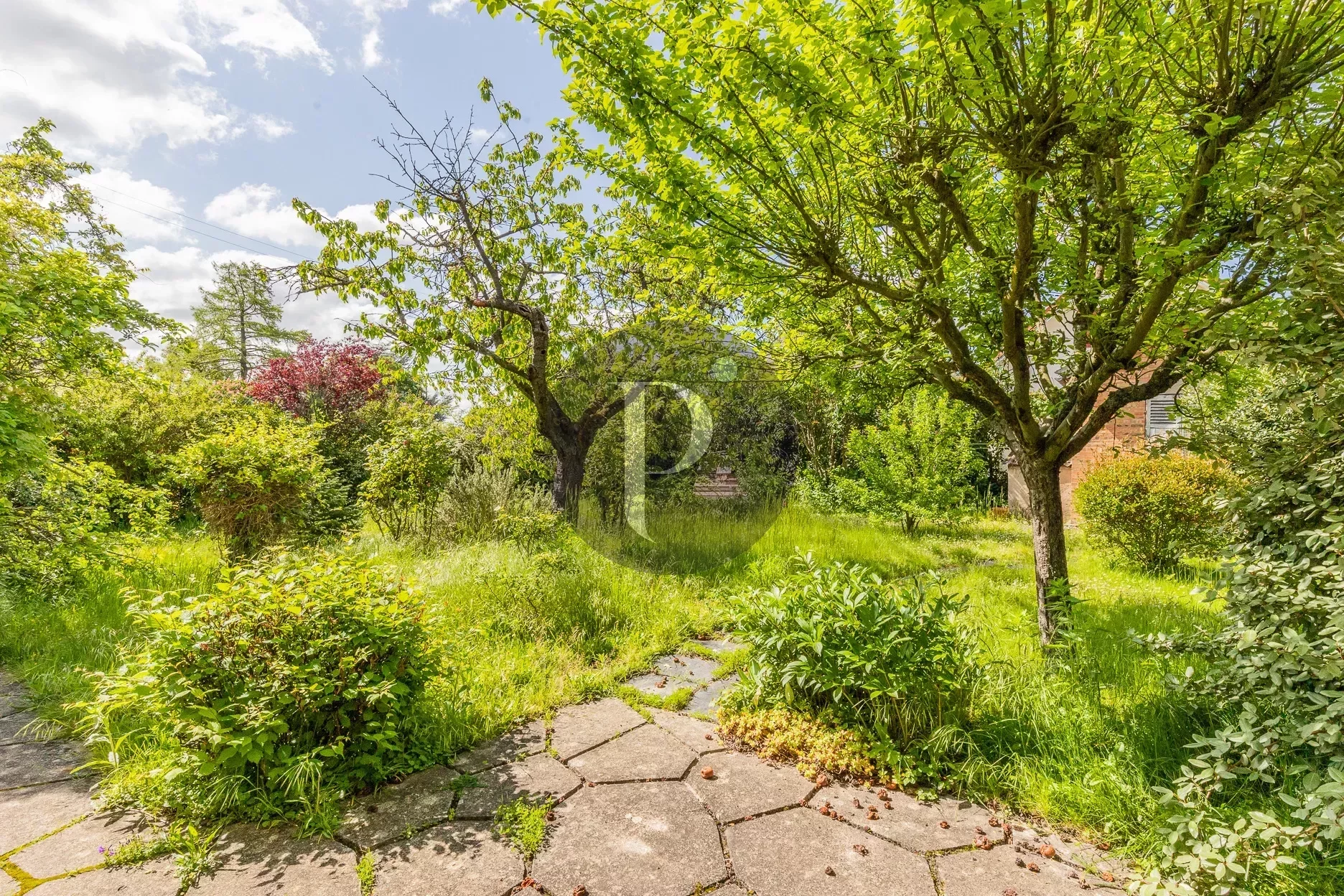 vente-terrain-verrieres-le-buisson-83878199