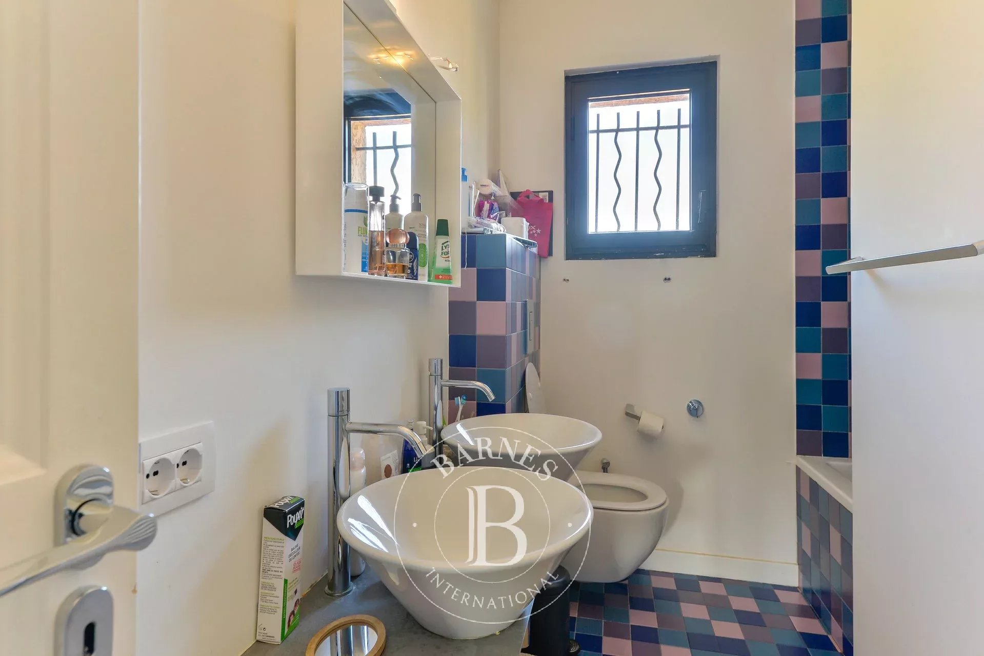 Ev Collonges-au-Mont-d'Or - picture 16