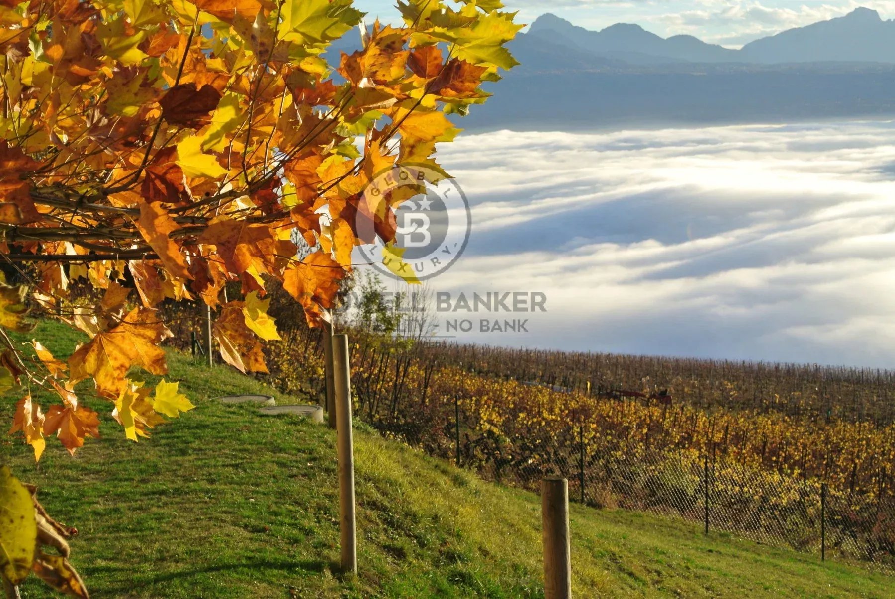 LUTRY - DOMAINE PRIVE EXCLUSIF ! - Photo 2