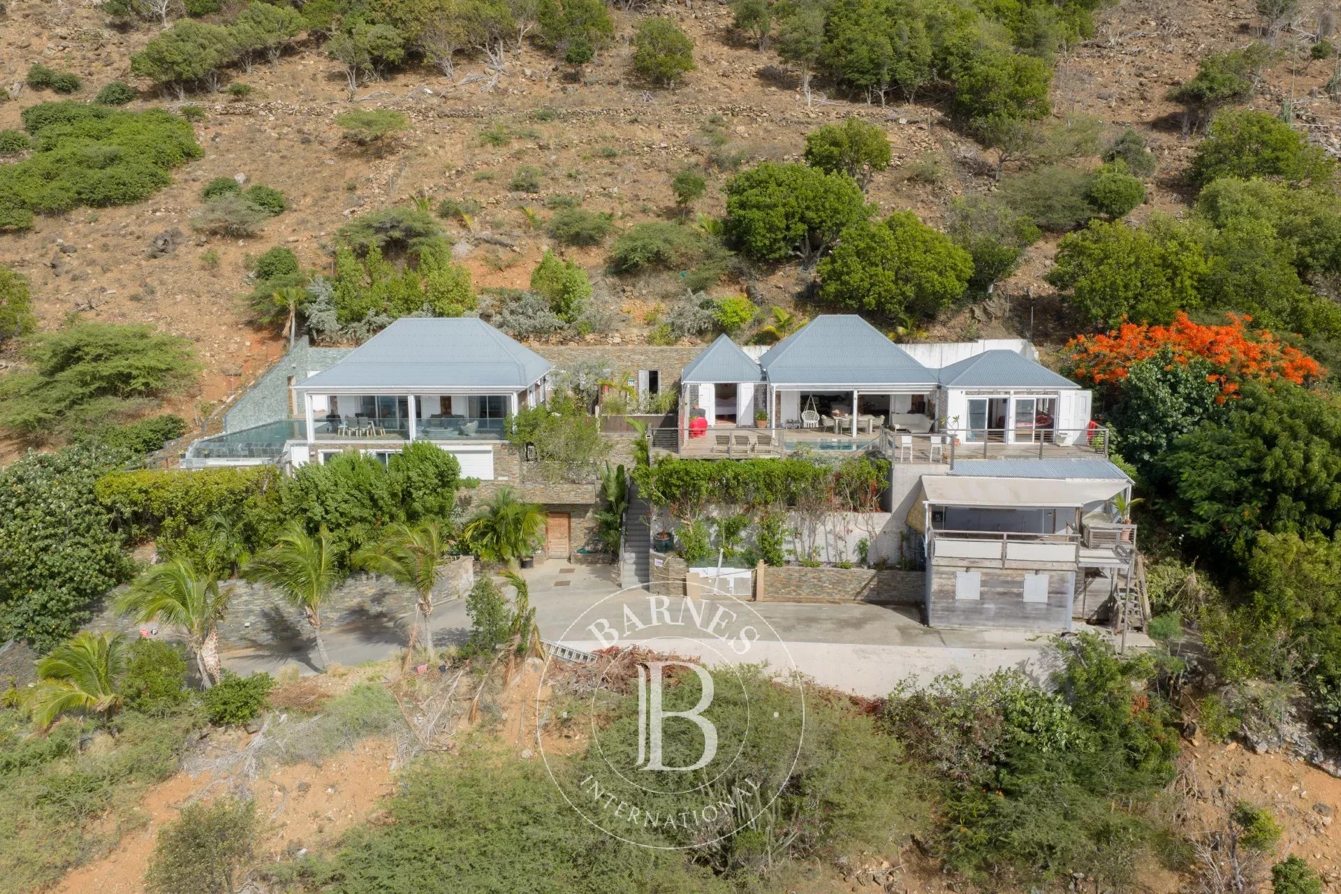 Villa Saint-Barthélemy  -  ref 87276014 (picture 2)