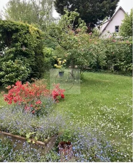 appartement 142 m² Ville-d'Avray — photo 4