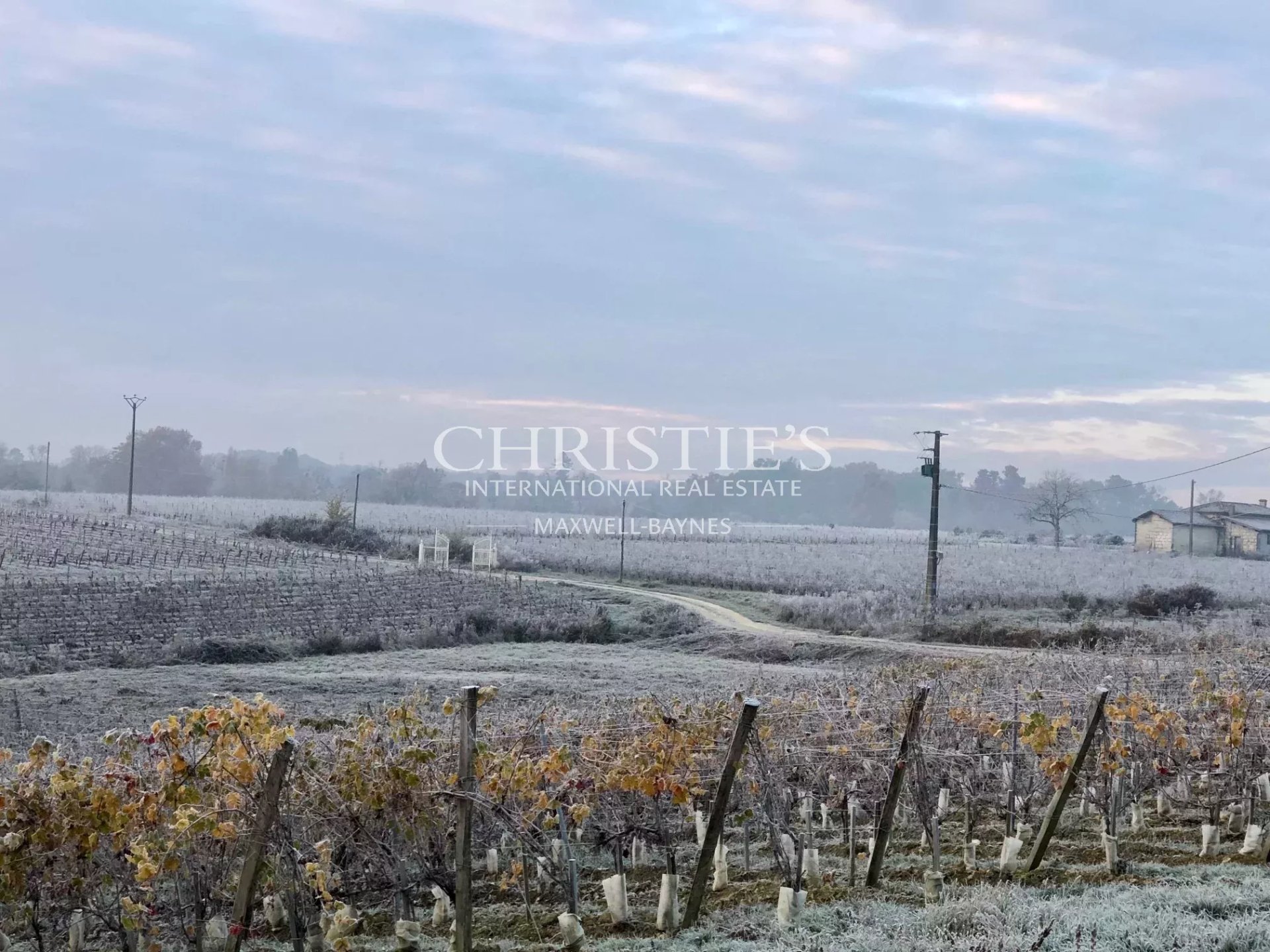 7 Bedroom Vineyard's Image 14