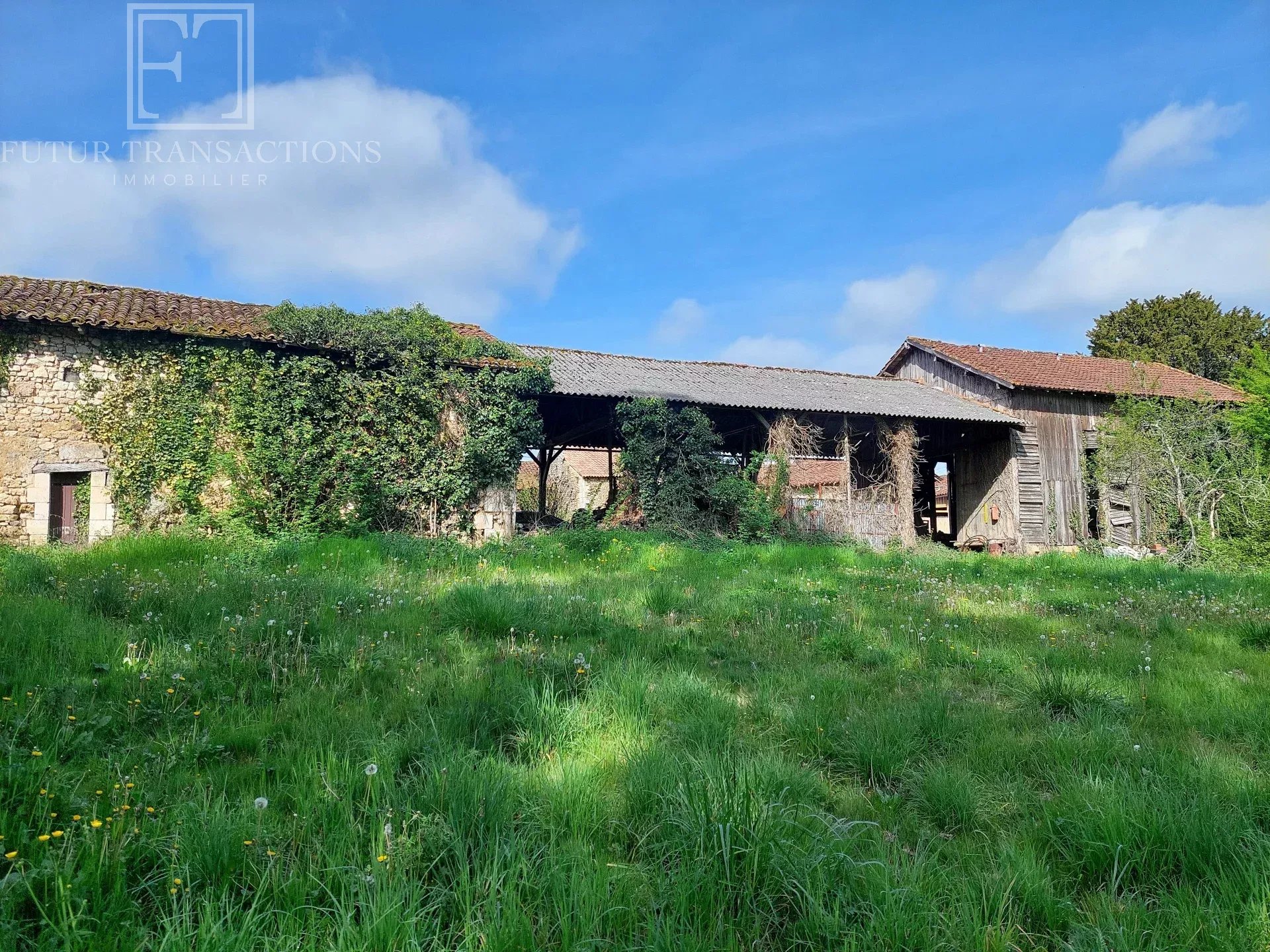 Agence immobilière de FUTUR TRANSACTIONS BRANTOME