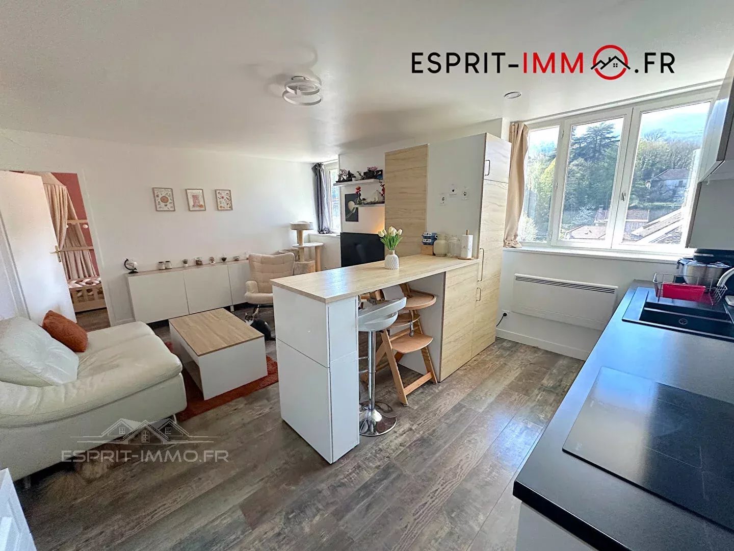Vente Appartement Seyssel