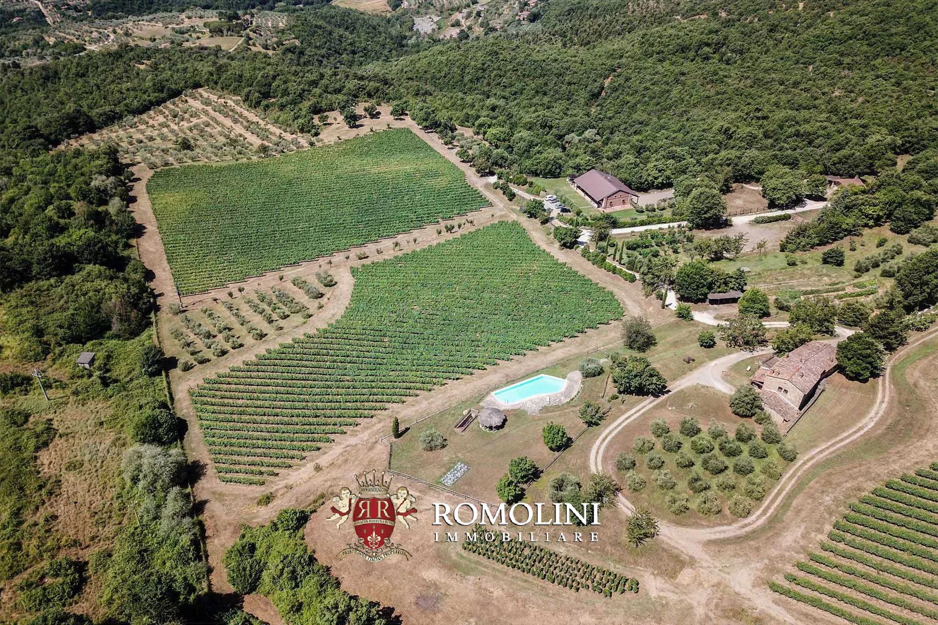16 Bedroom Vineyard's Image 6