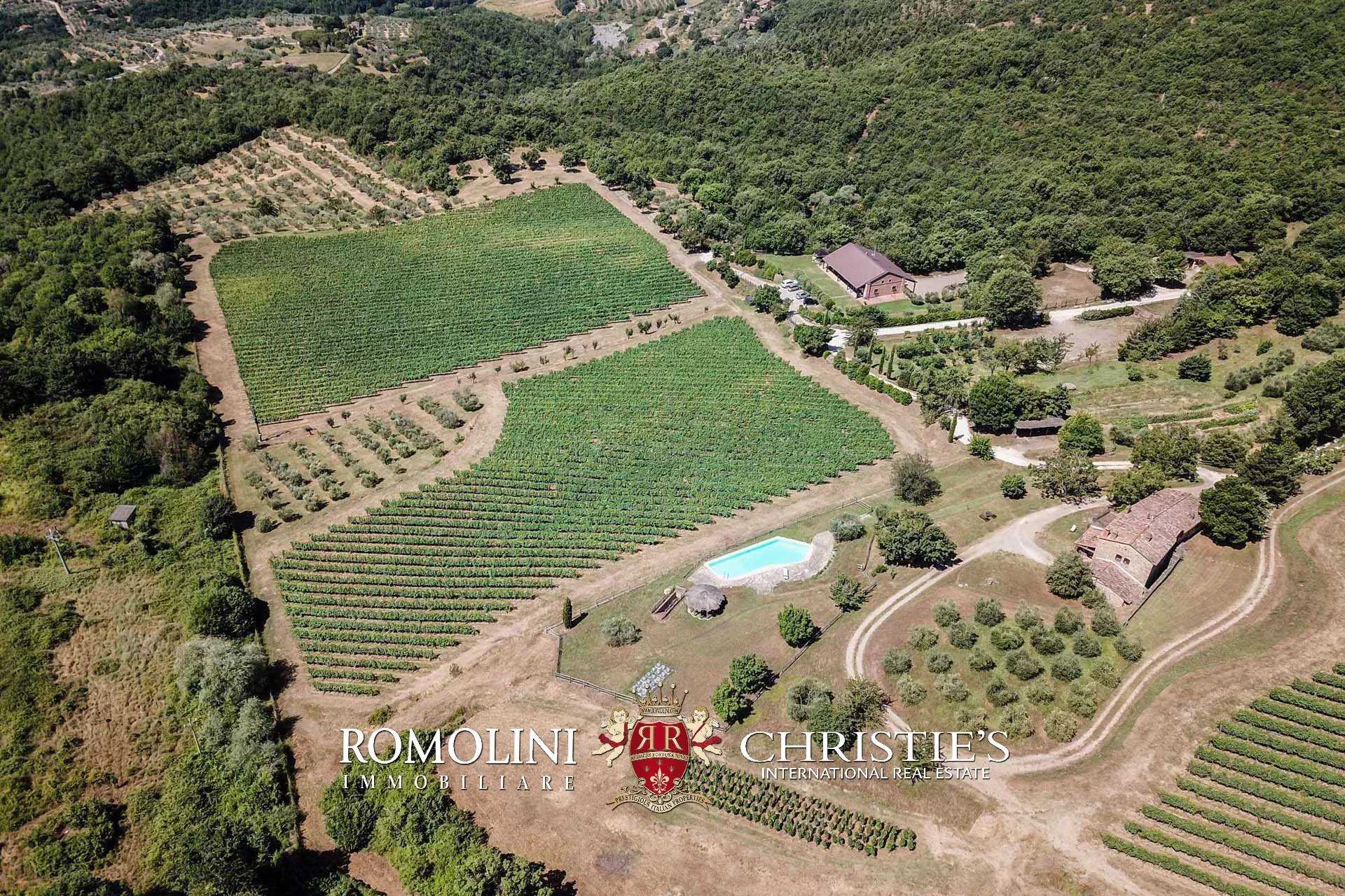 16 Bedroom Vineyard's Image 6