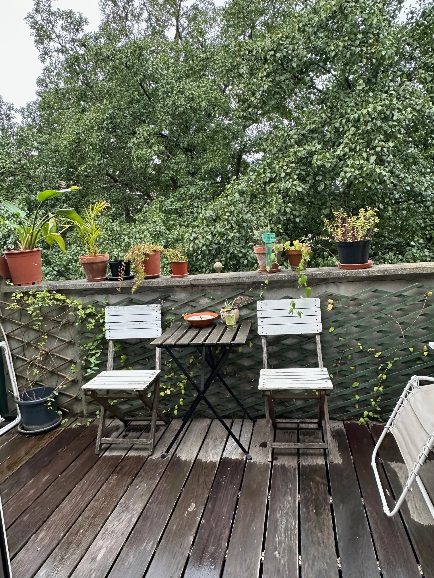 Charming small investment property.