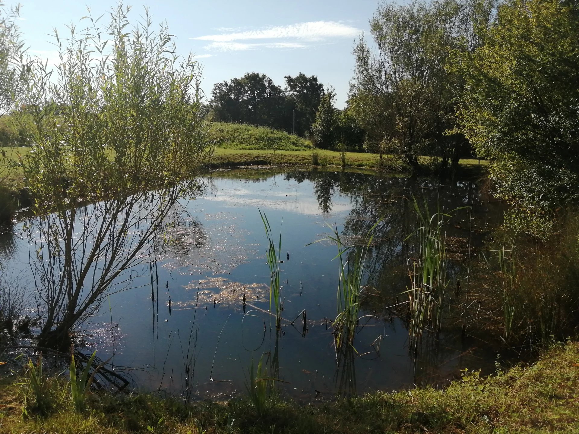 House in Saint-Martin-l'Ars - Image 4