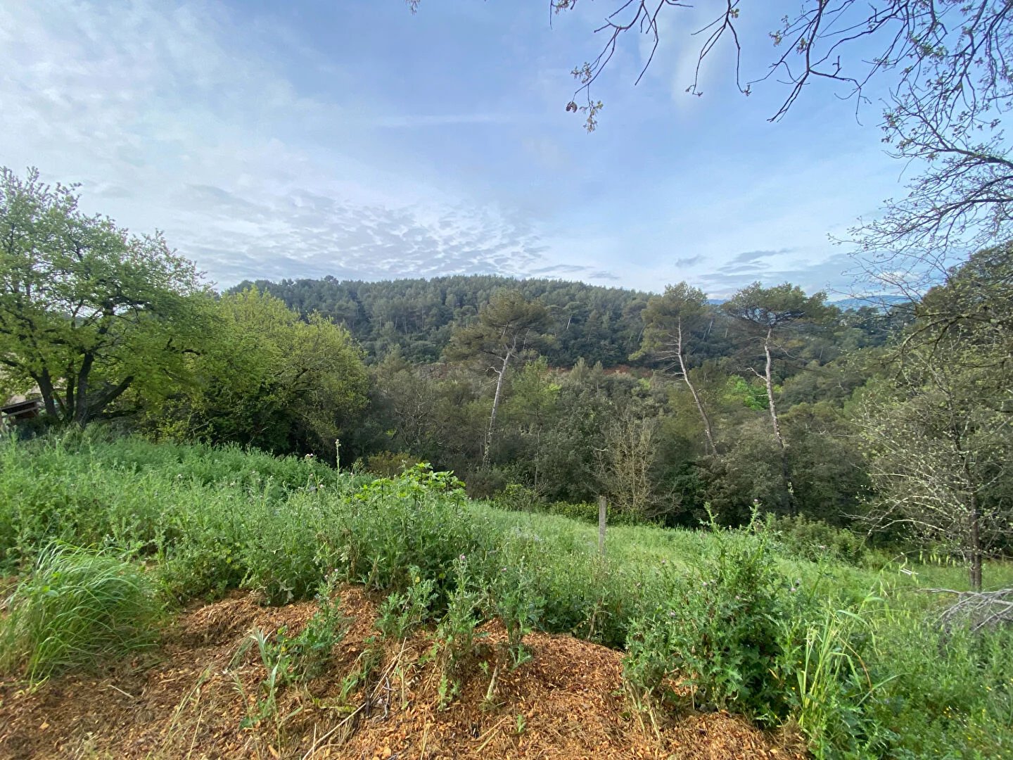 Vente Terrain Mouans-Sartoux