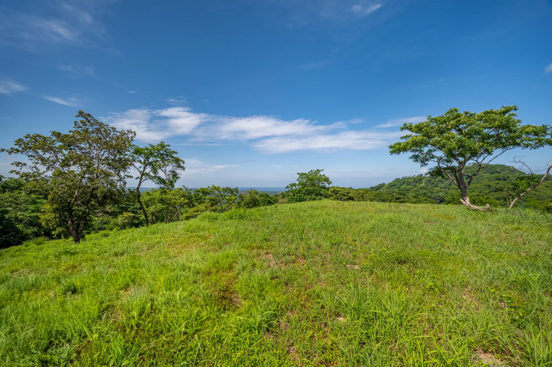 Venta Terreno Santa Cruz