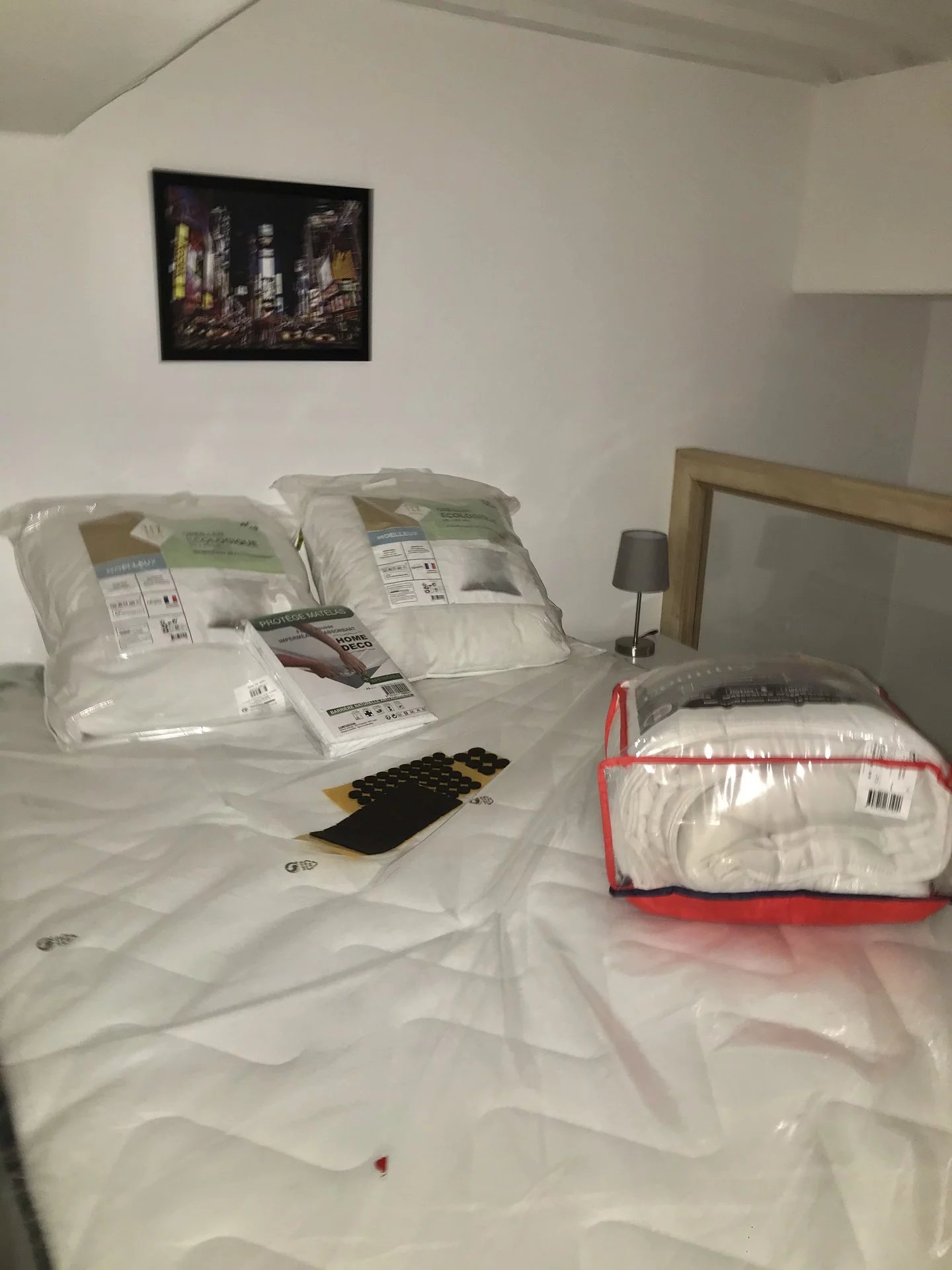 4855489 Location Lyon 1er