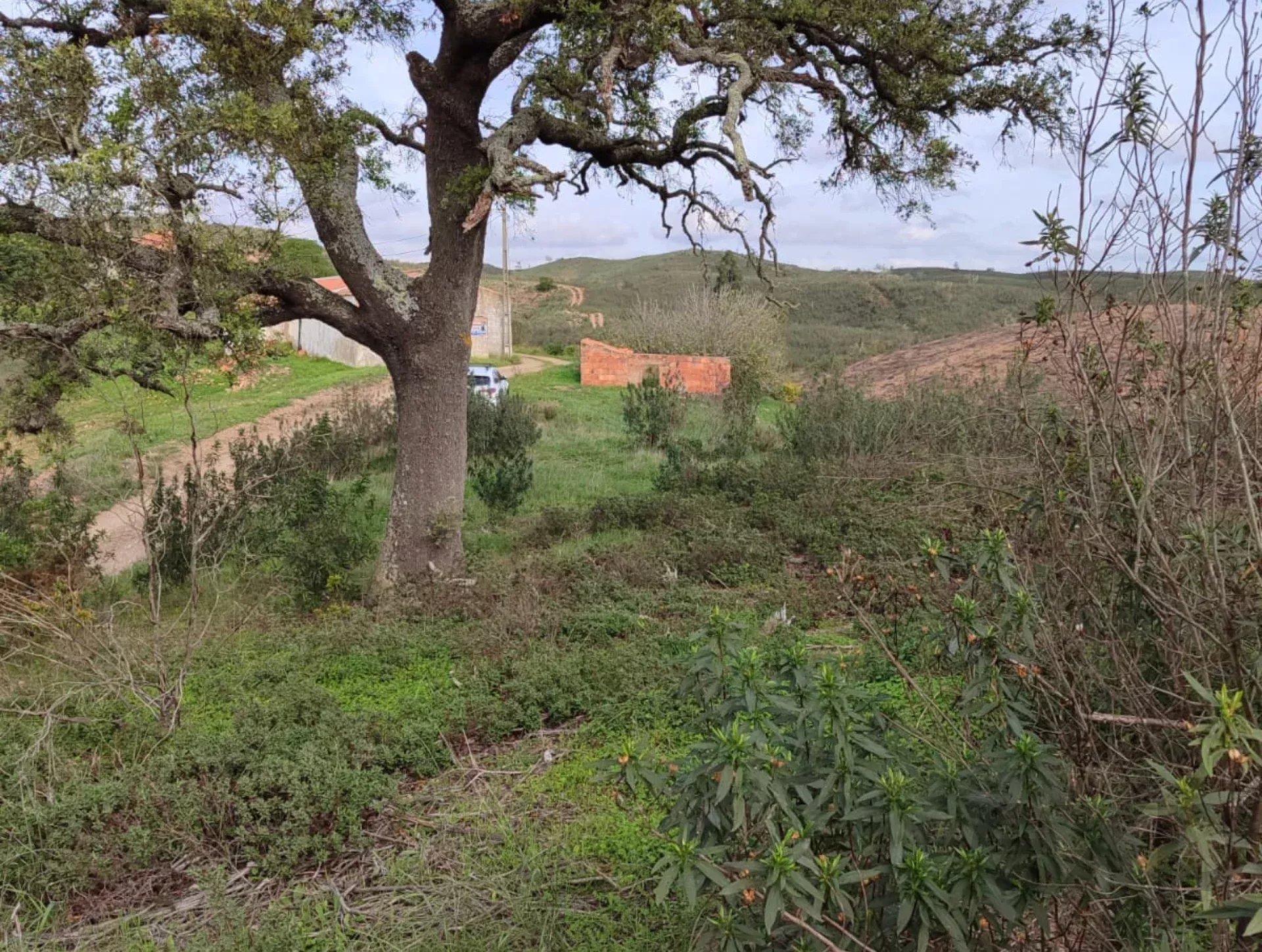 1.13 Hectares: Potential for Luxury Housing or Elite Tourist Project 8375-200 image 3