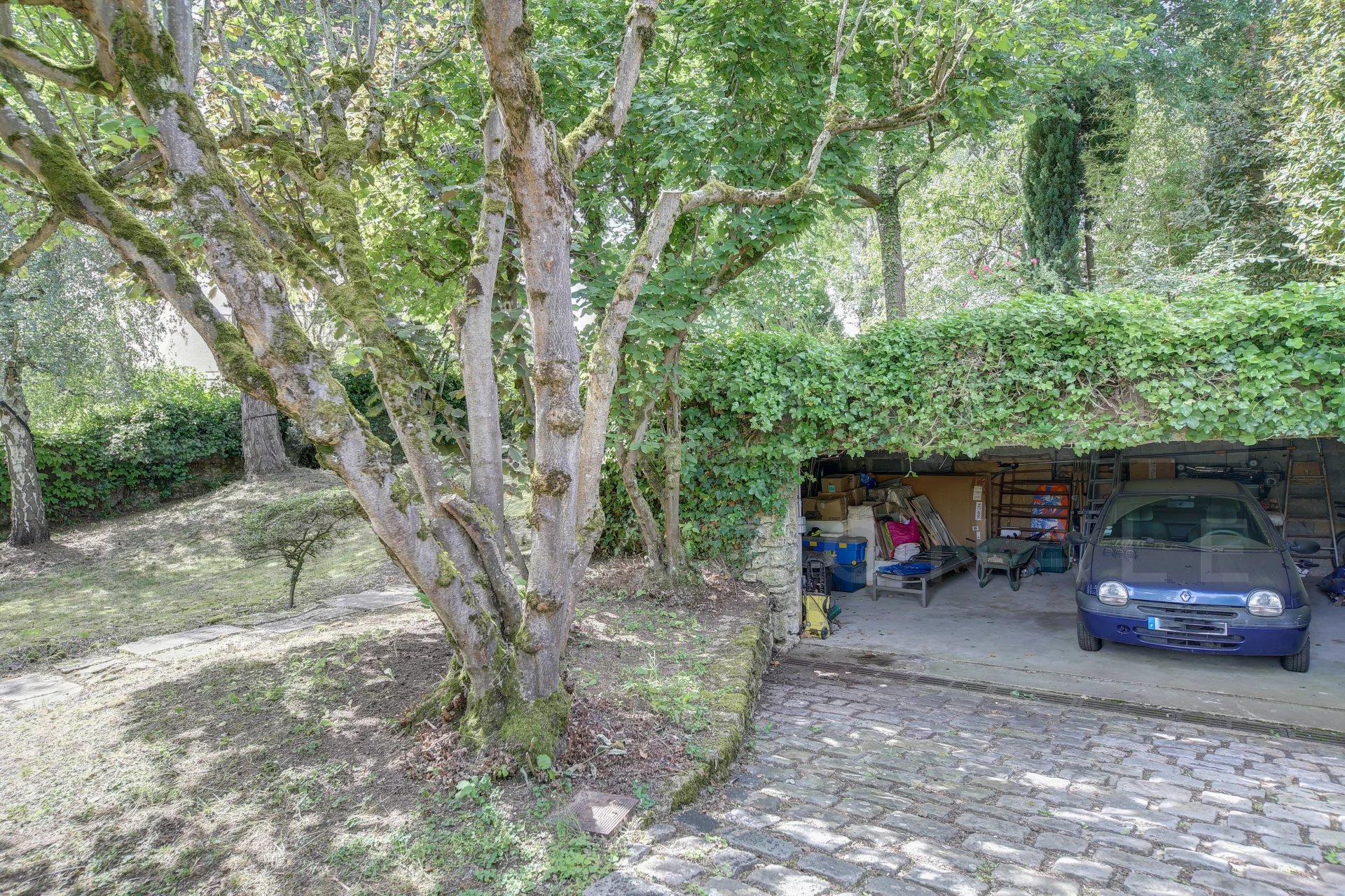 Image de la propriété 19