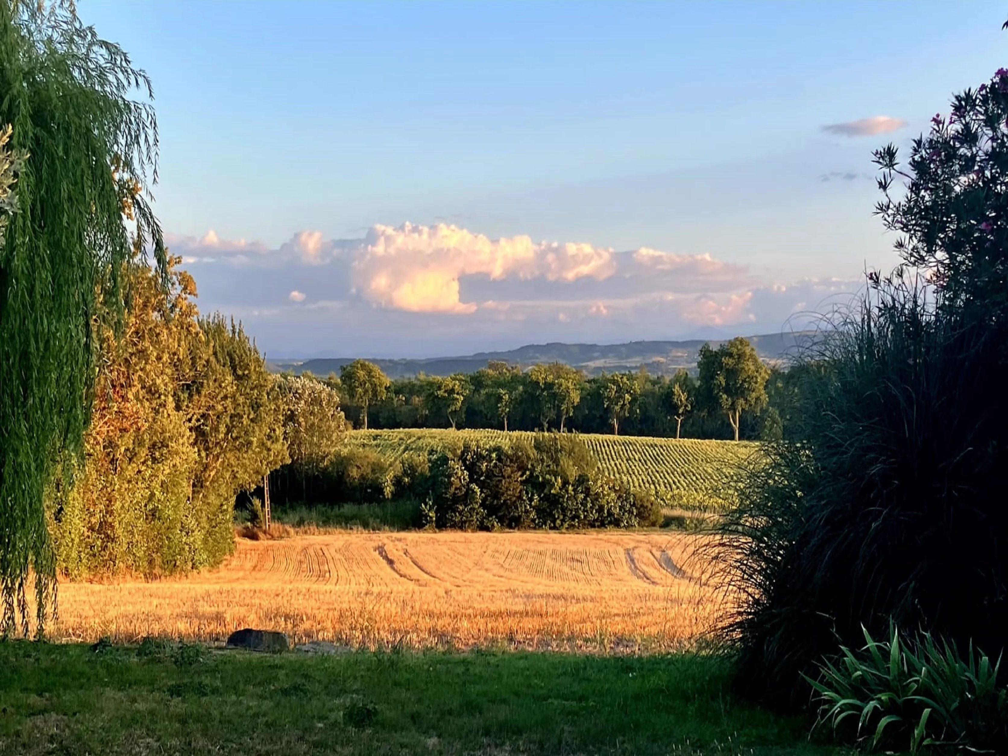Bastide à vendre Castelnaudary, Aude