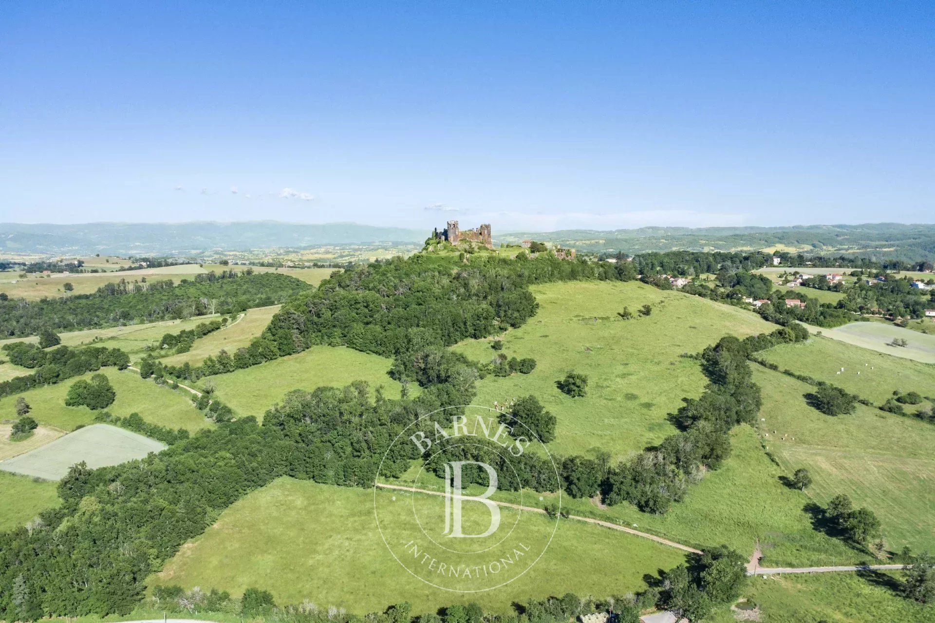Mauzun  - Château  - picture 13