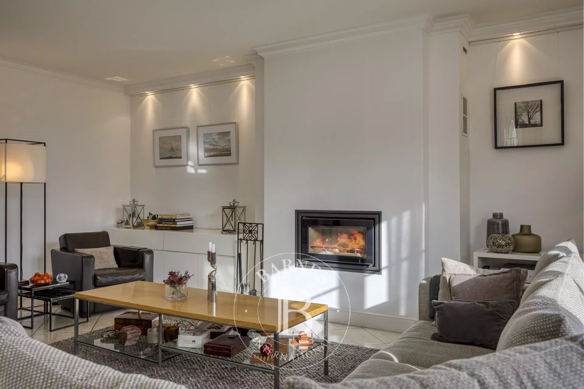 Villa Thoiry - picture 11