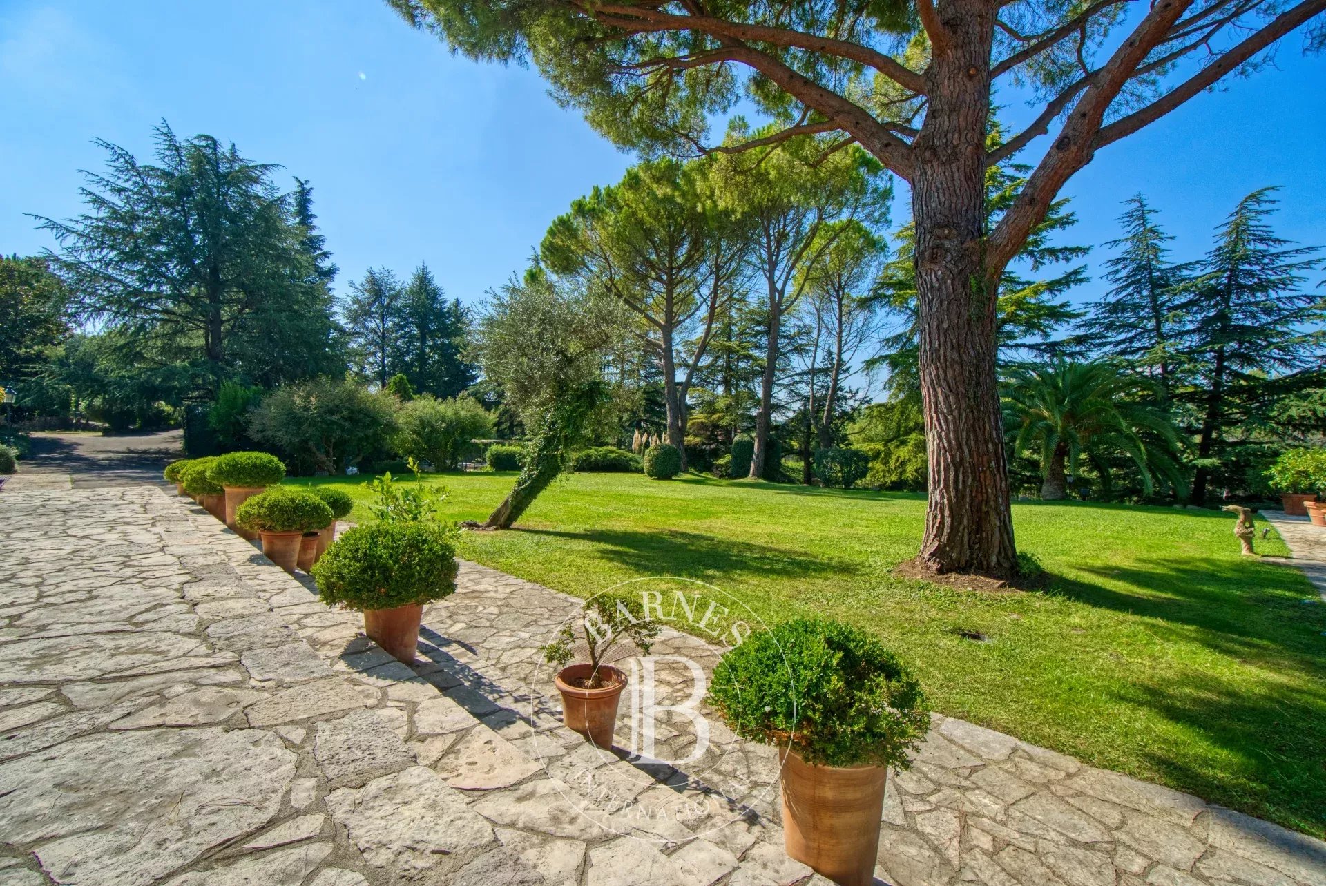 Ev Grasse - picture 11