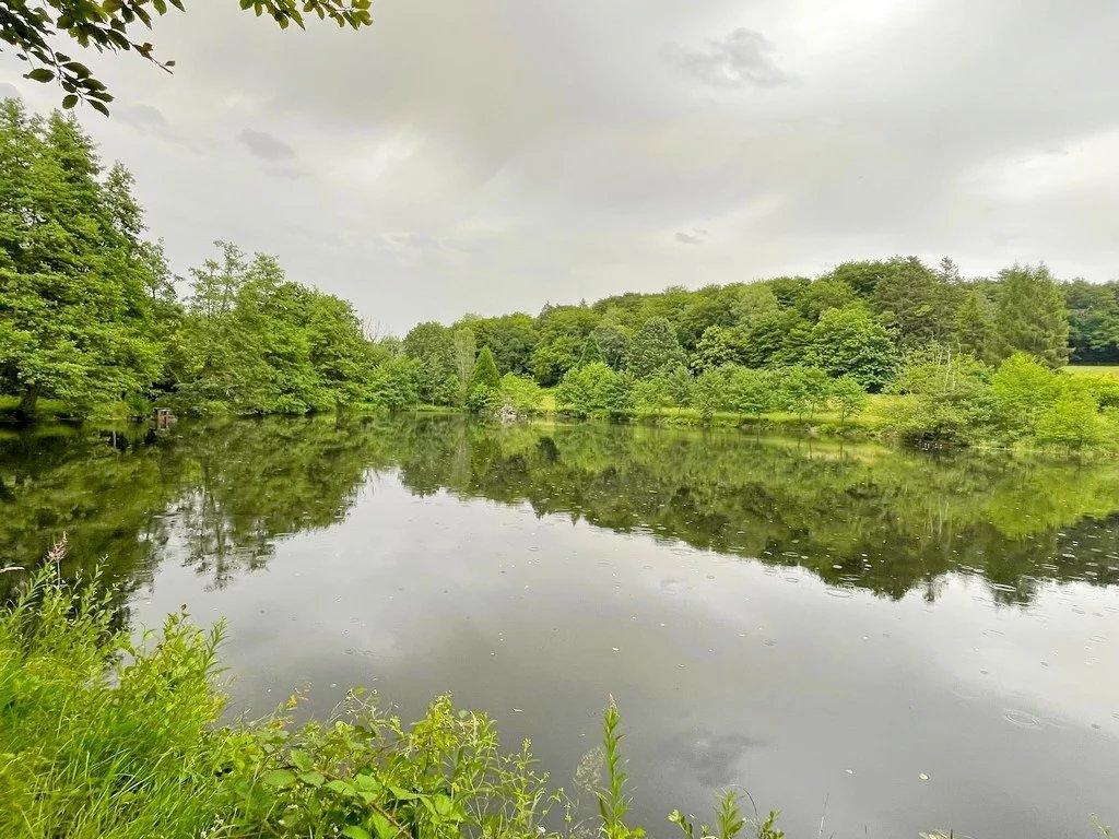 Exclusivité/Bourgogne, Parc du Morvan , Secteur Brassy, ensemble de trois plans d'eau sur plus de 14 hectares de terrain boisé