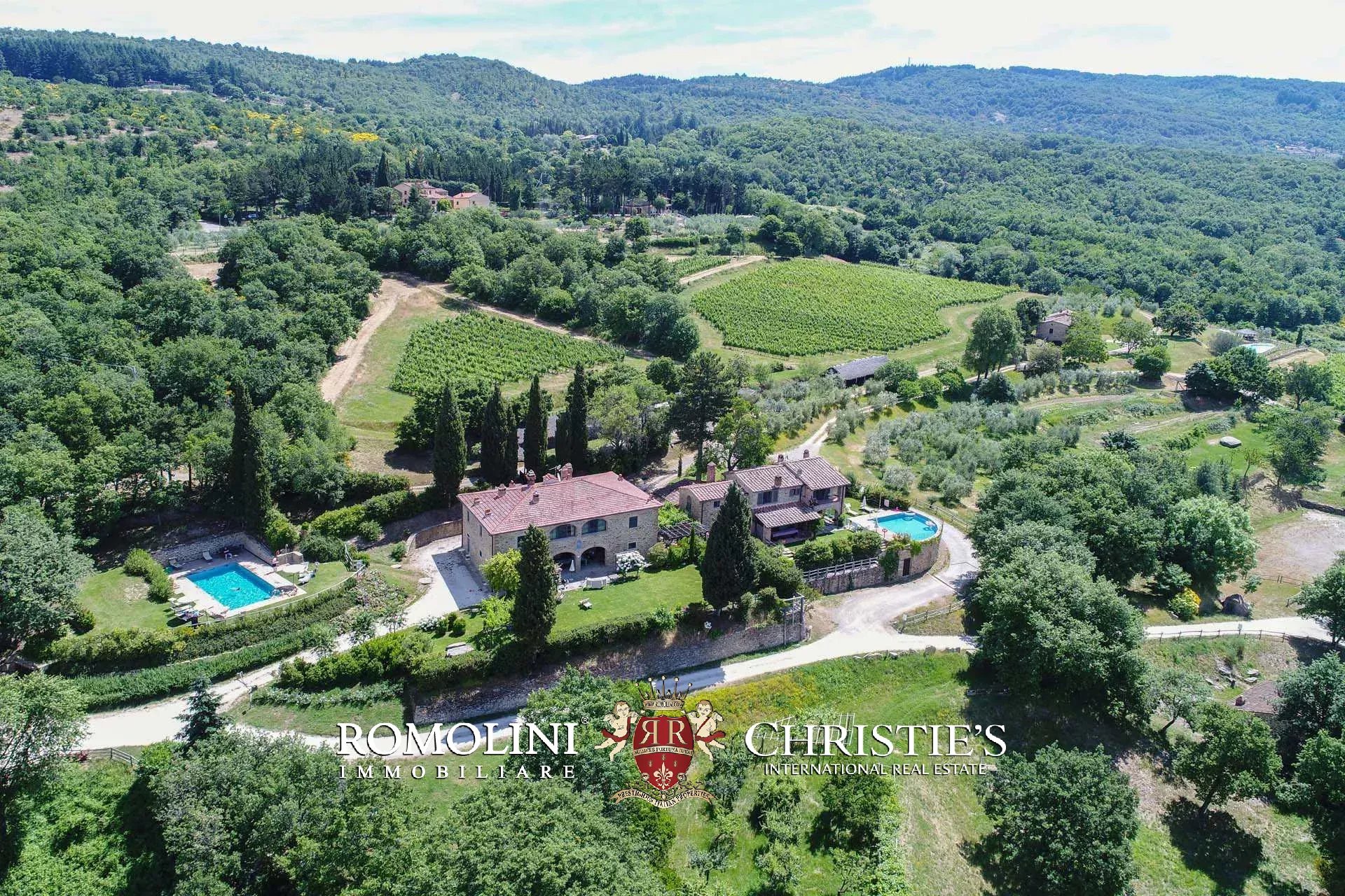 TENUTA VINICOLA BIOLOGICA IN VENDITA, CANTINA BIO TOSCANA