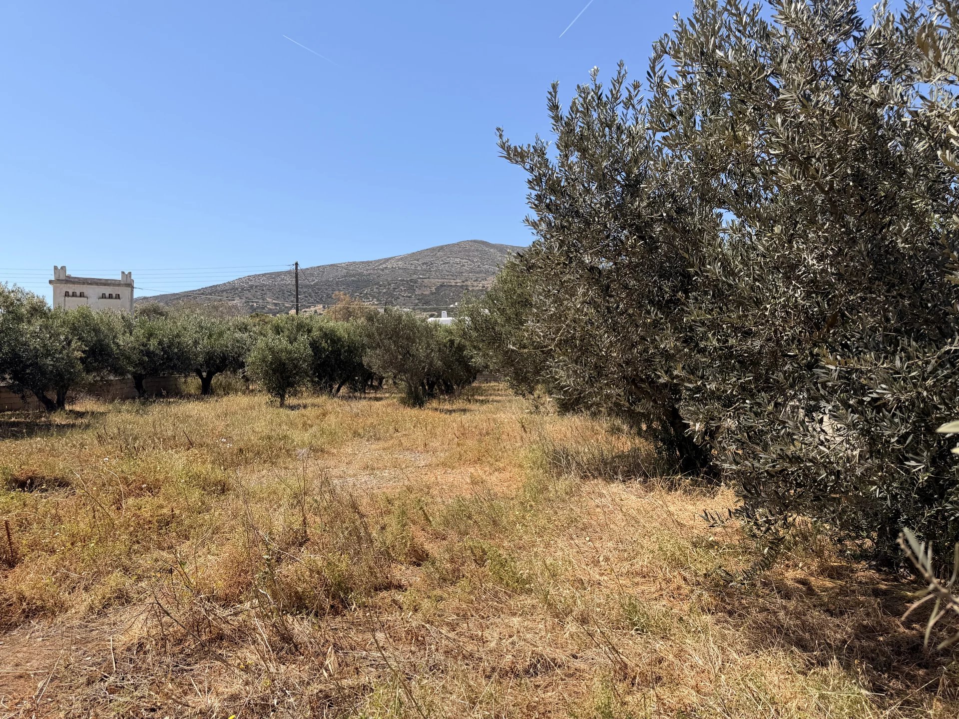 Image de la propriété 4