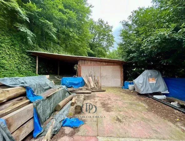 Malikane Valganna - picture 19