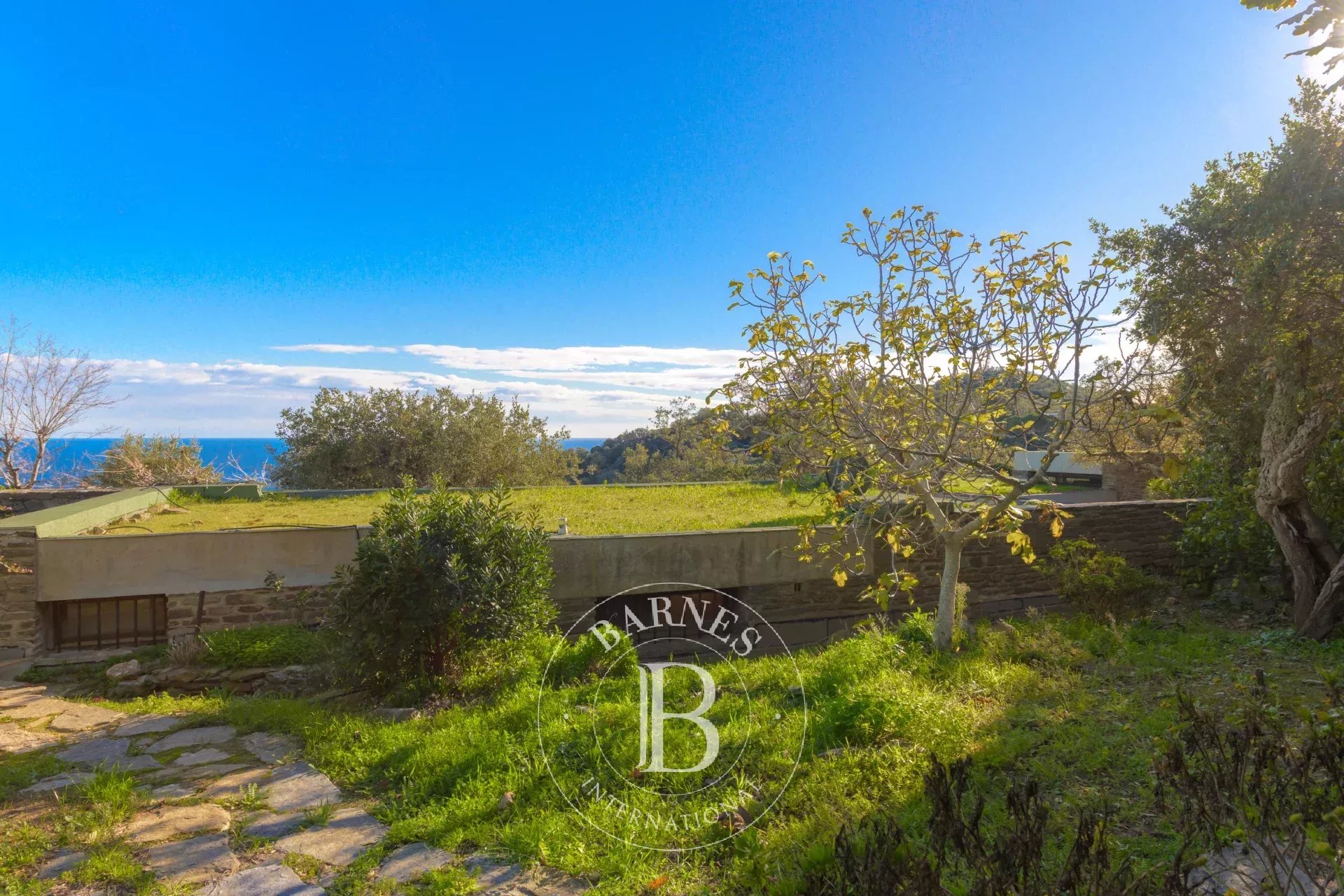 Ev Bormes-les-Mimosas - picture 21