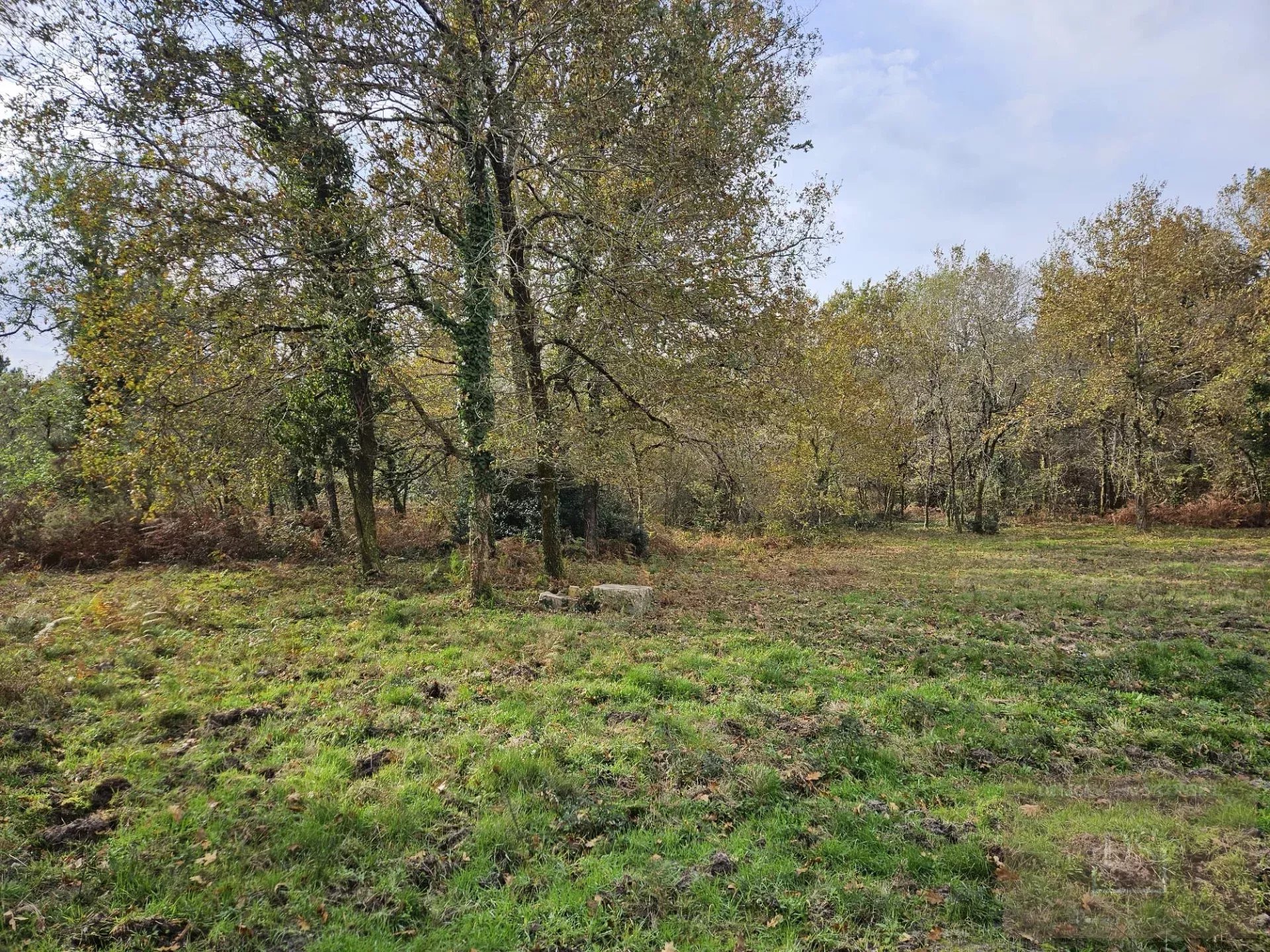 Vente Maison Le Teich