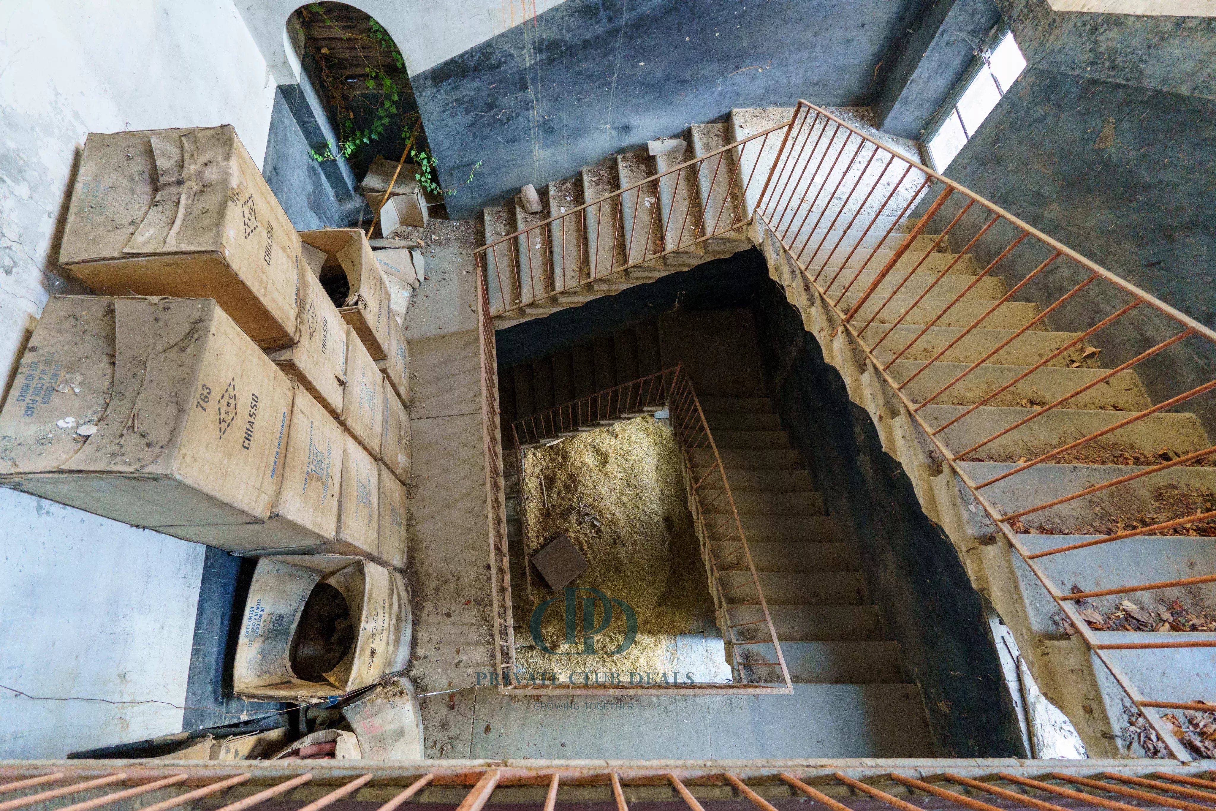 Depo Ello - picture 11