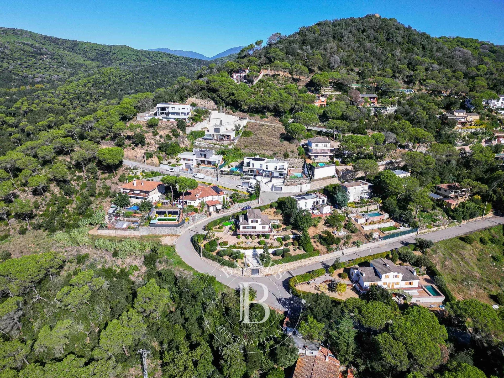 Arazi Dosríus - picture 37