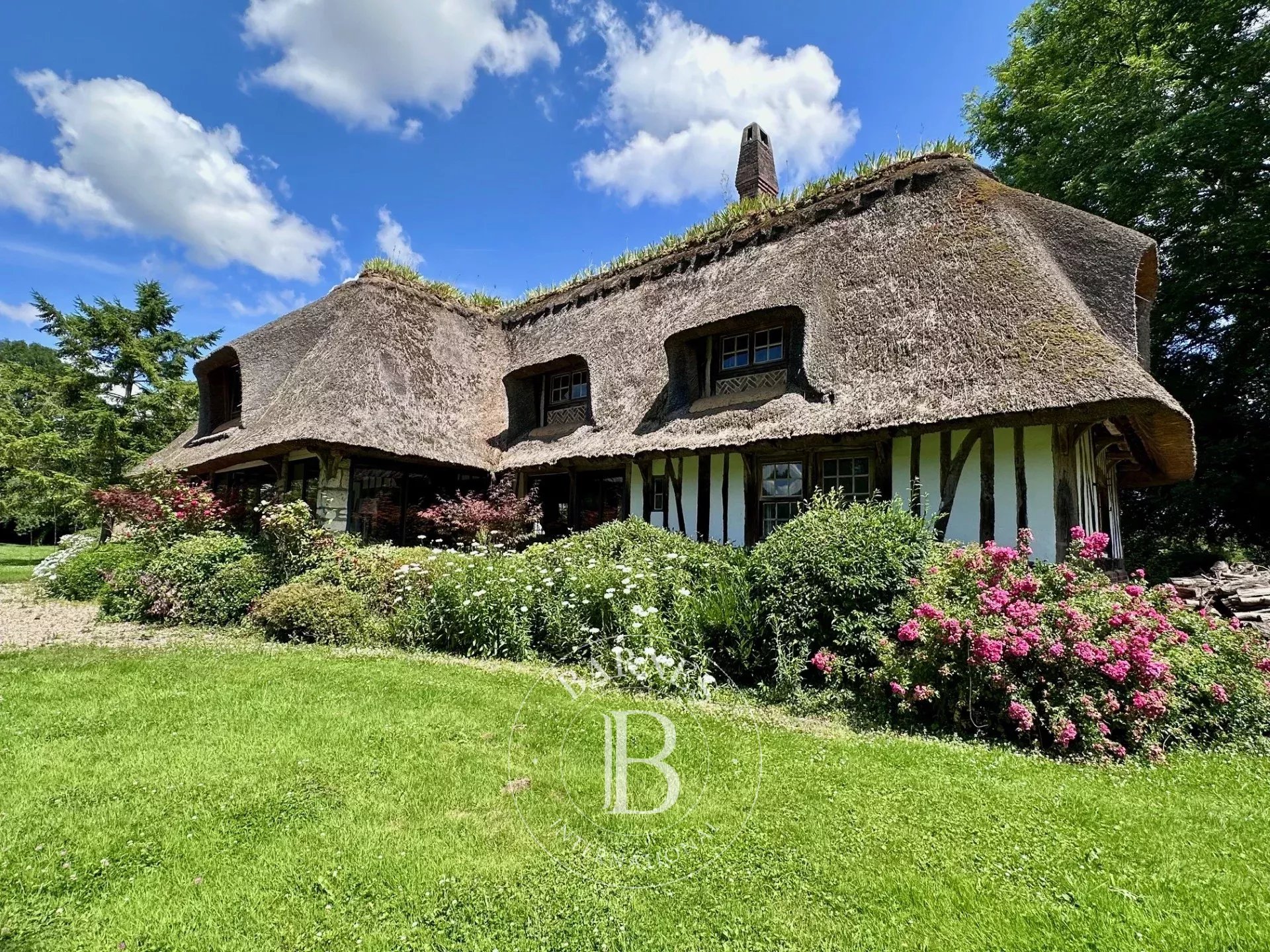 Maison Anneville-Ambourville  -  ref 85069349 (picture 3)