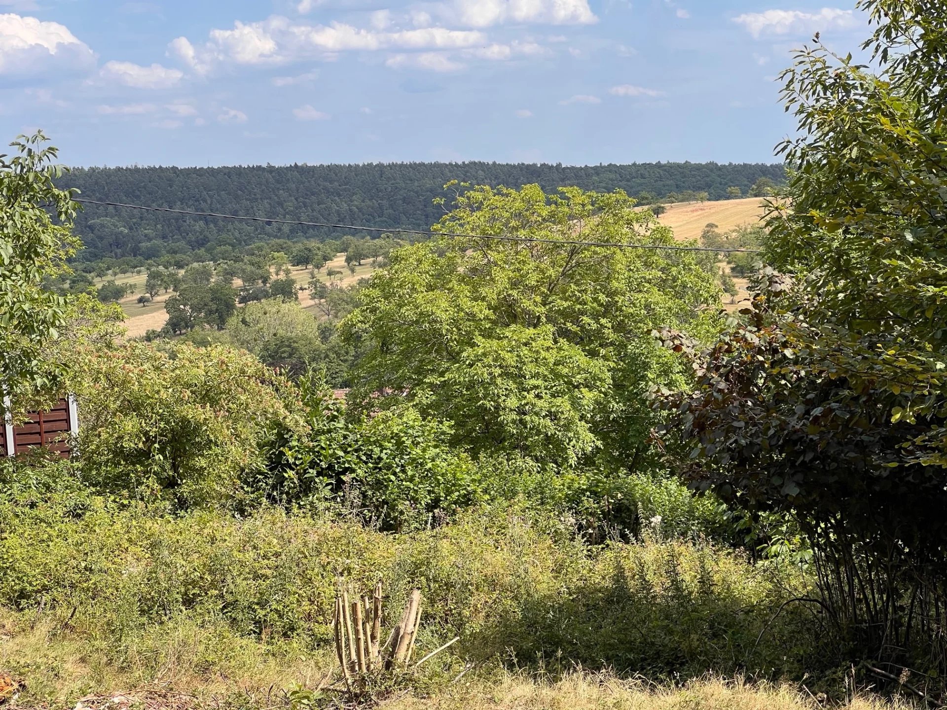 Agence immobilière de DB CONSULTANTS
