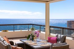 Penthouse duplex at the gates of Monaco with garden — photo 1 of 7