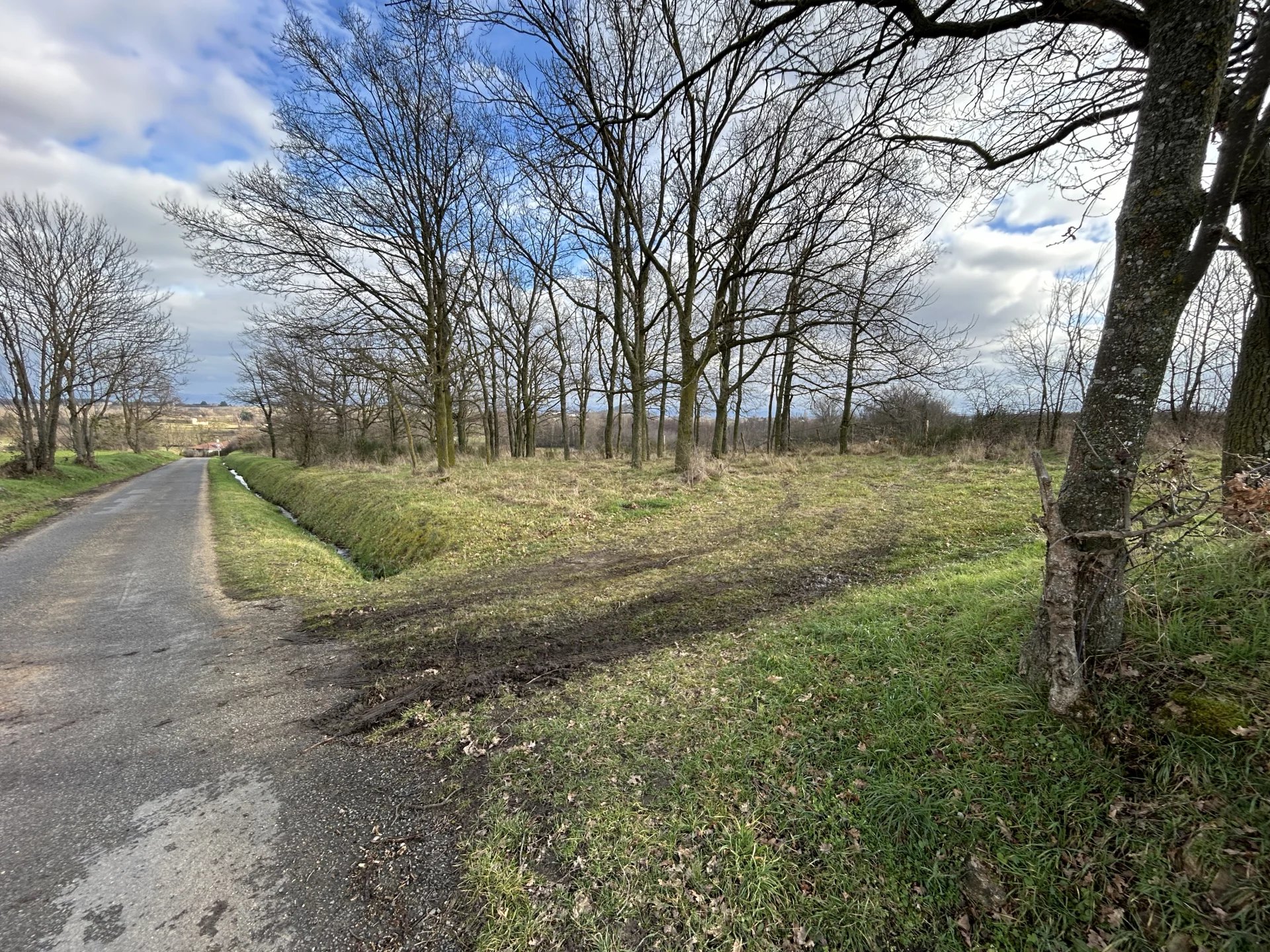 Vente Terrain inconstructible Montbrison