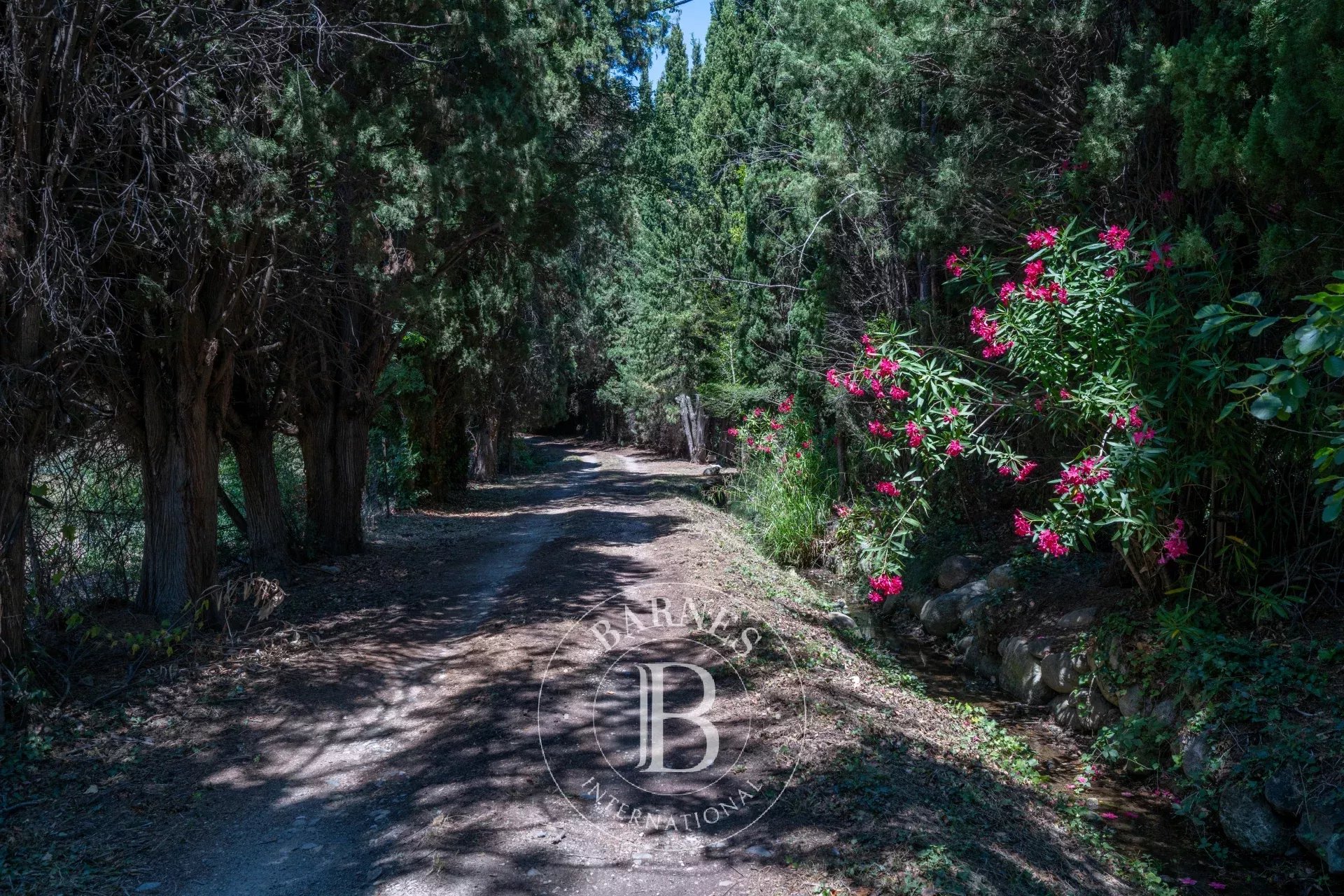 Mülkiyet Prades - picture 20