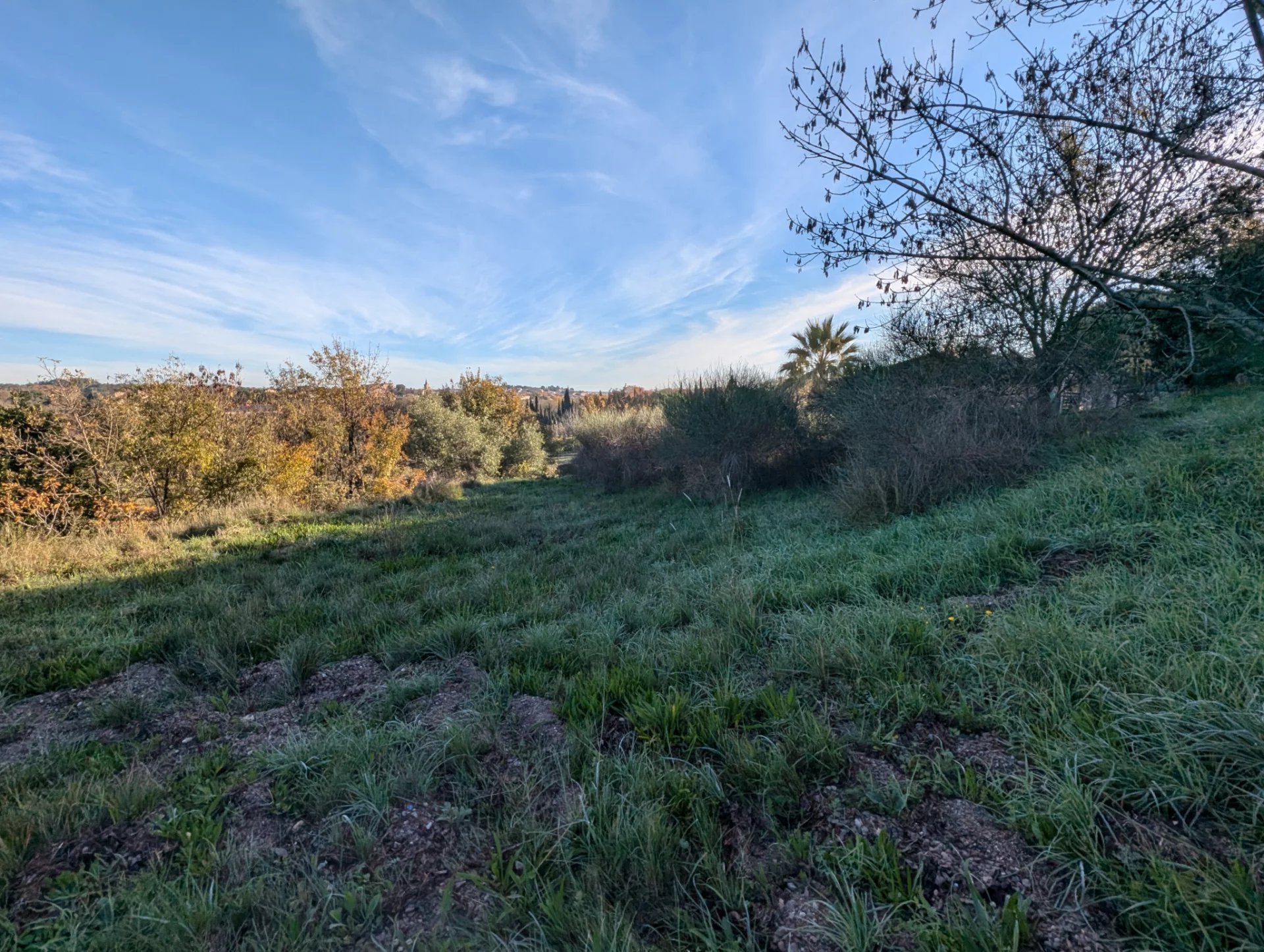 Vente Terrain Puisserguier