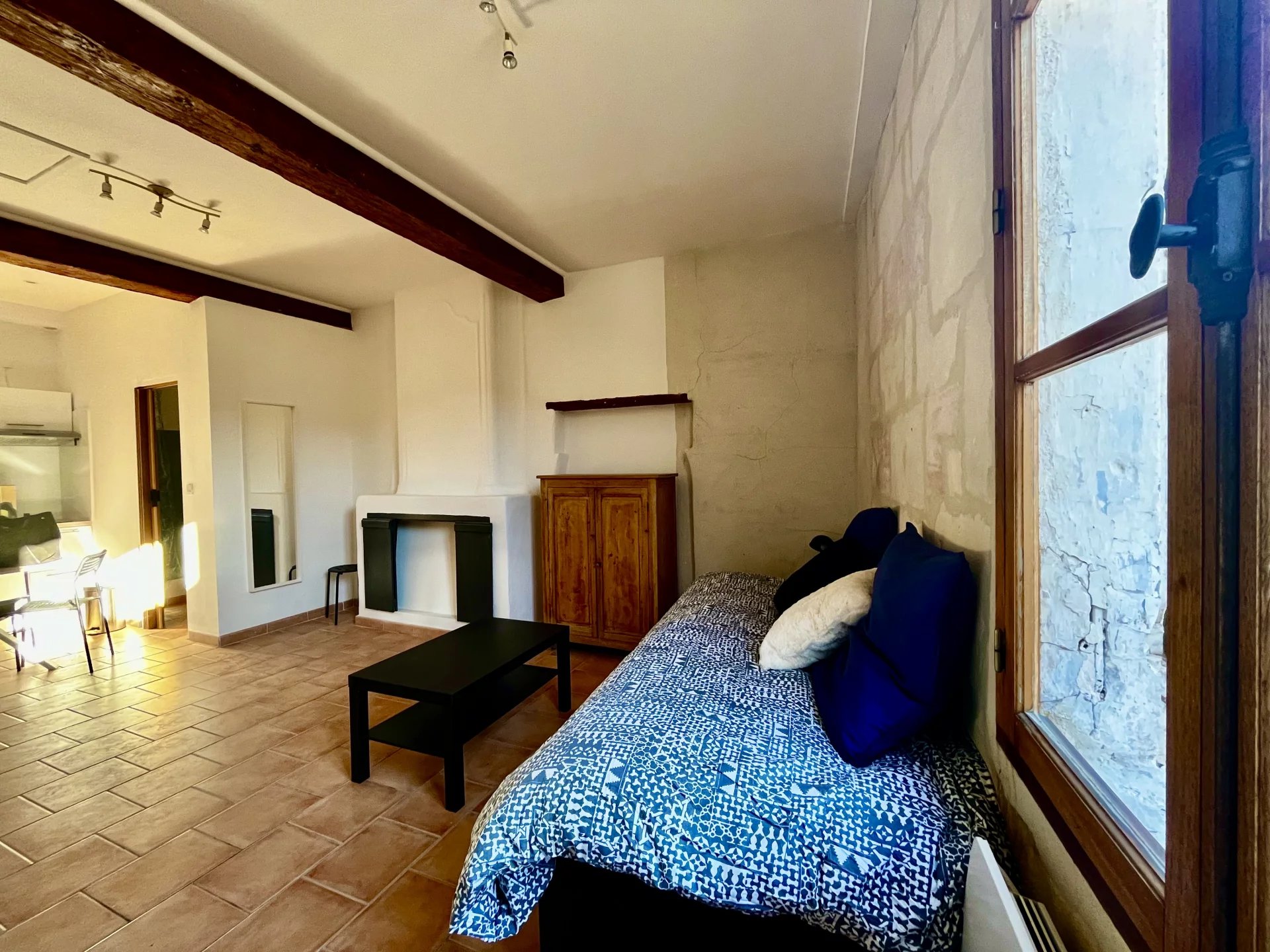 Agence immobilière de Leonis Immobilier Pays d'Arles