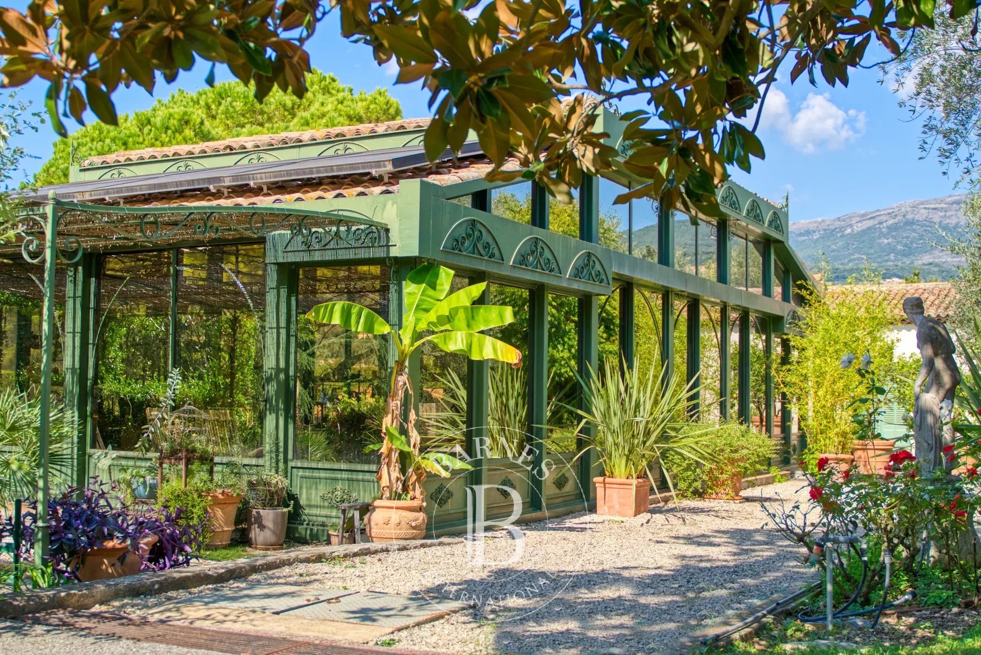 Ev Grasse - picture 7