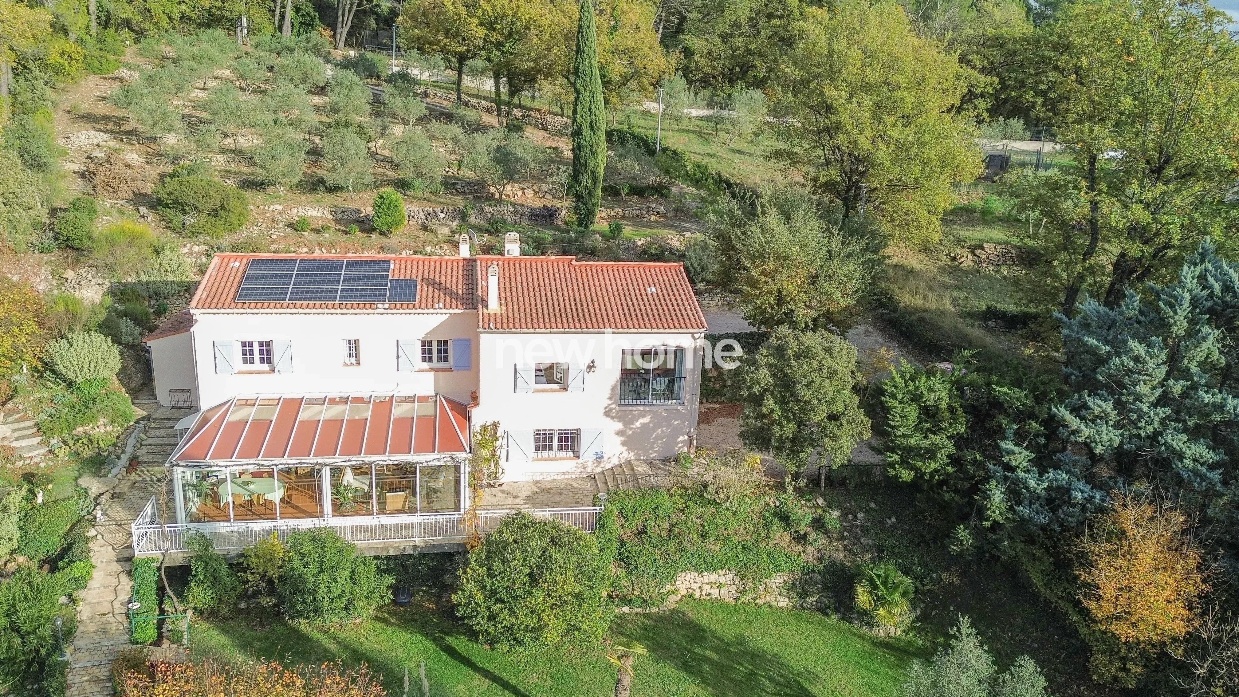 Belle propriété avec des oliviers et gîte indépendant