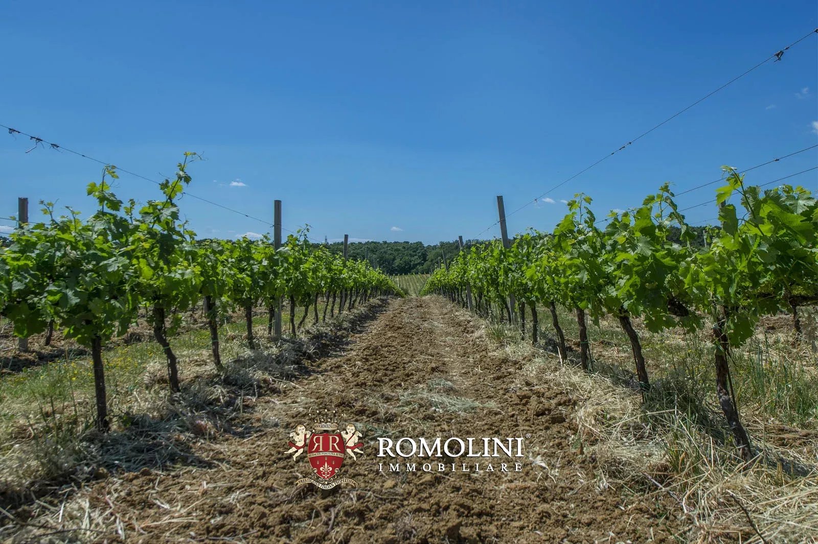 7 Bedroom Vineyard's Image 15