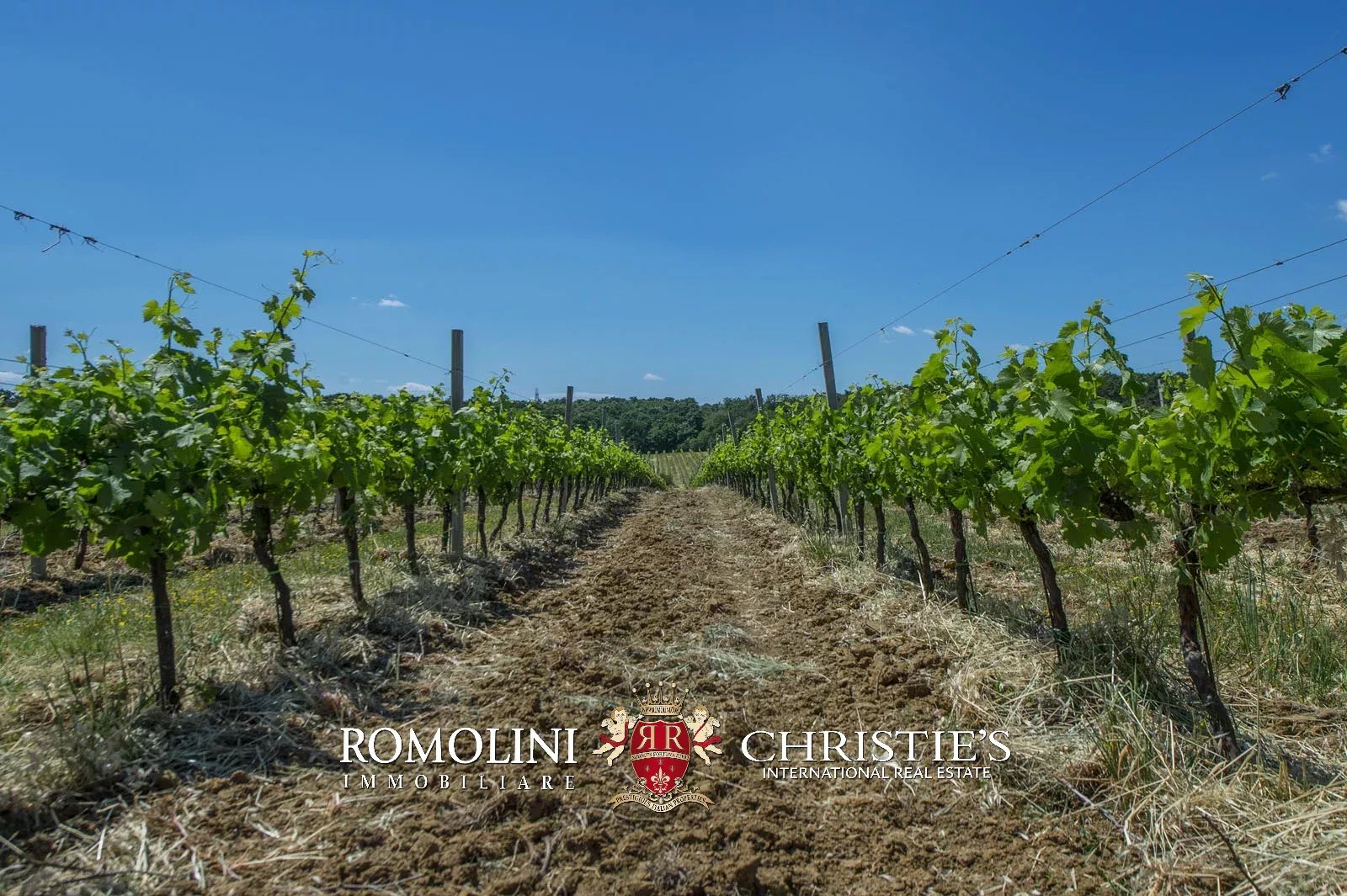 7 Bedroom Vineyard's Image 15