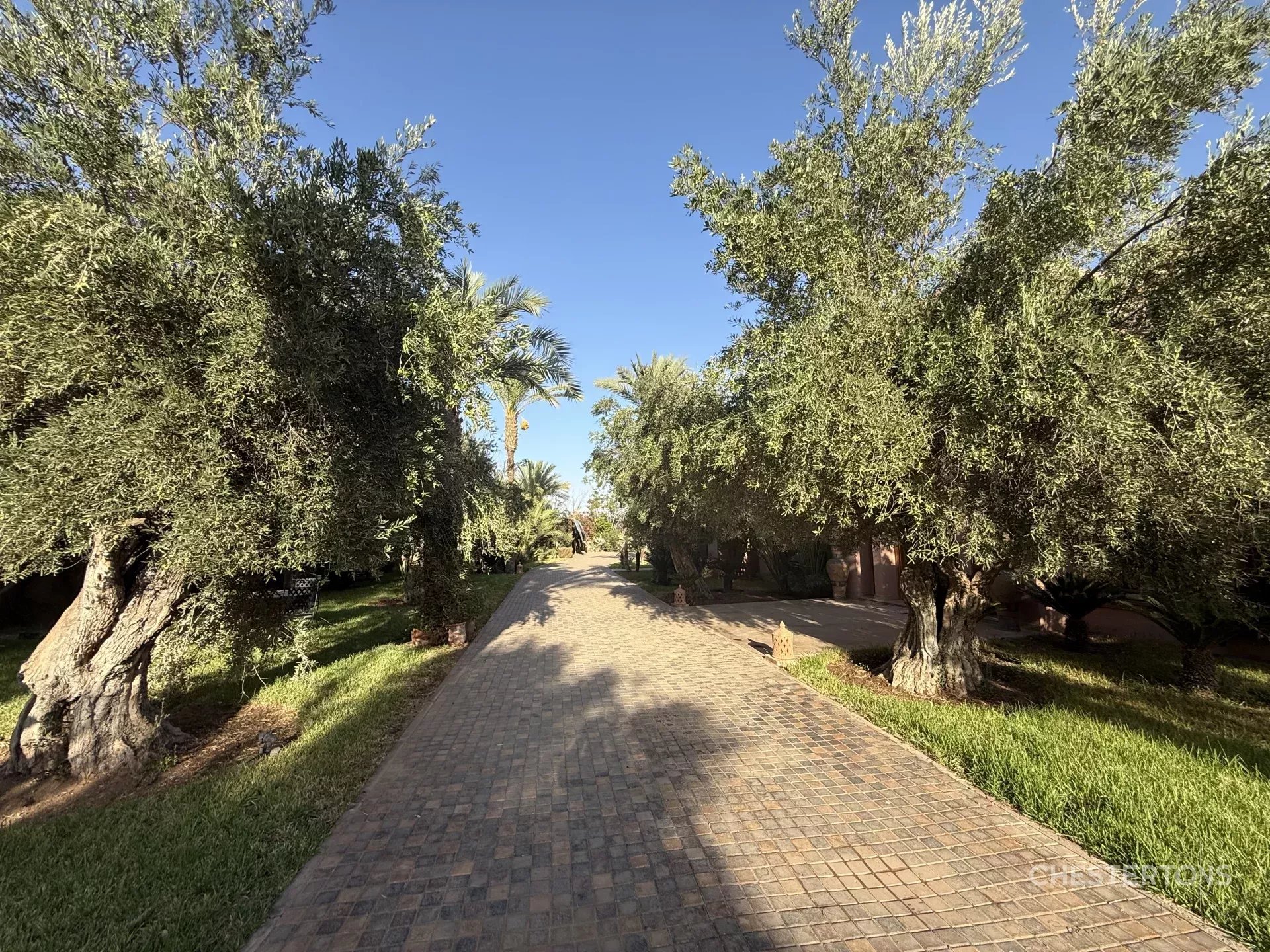 Image of Property - 10 Bedrooms for Sale in Marrakech-Ménara-Marrakech-Morocco, Image 8