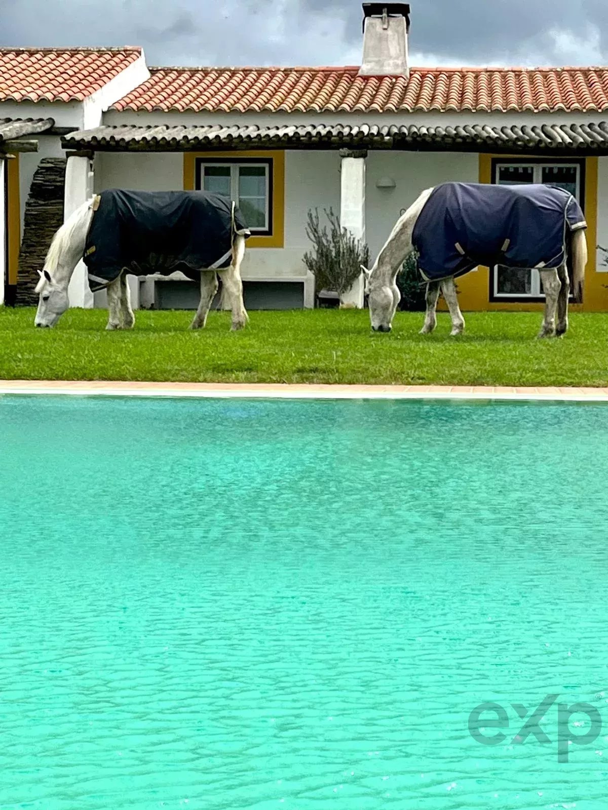 Exceptional Equestrian Estate – Odemira, South West Alentejo 86739800 image 27