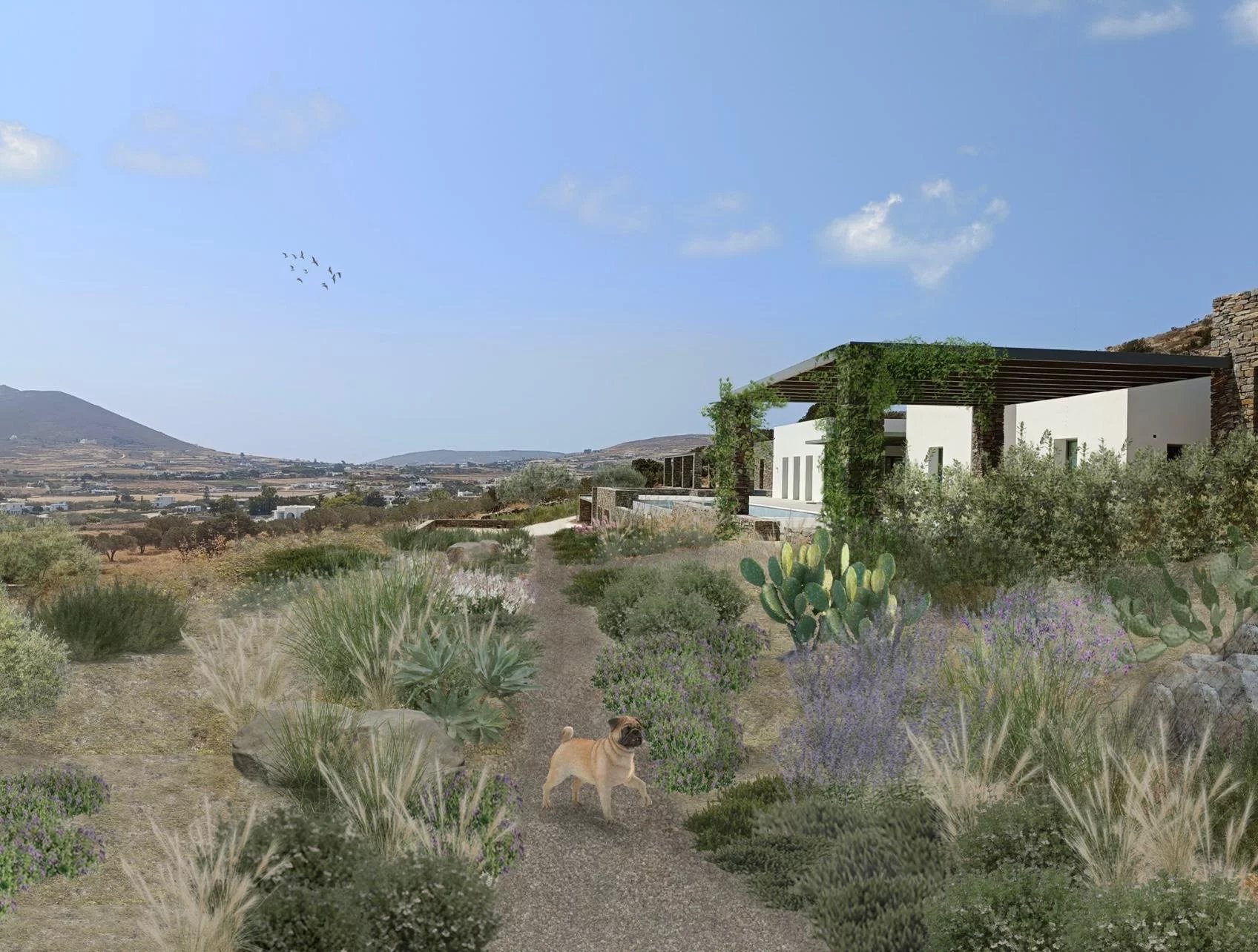 Εικόνα ιδιοκτησίας 14