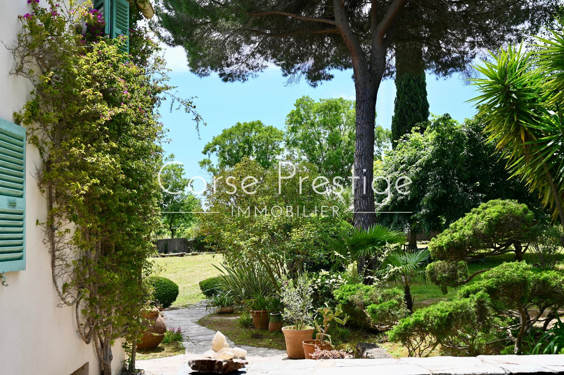propriete de charme avec piscine et dependances aux portes de bastia image5