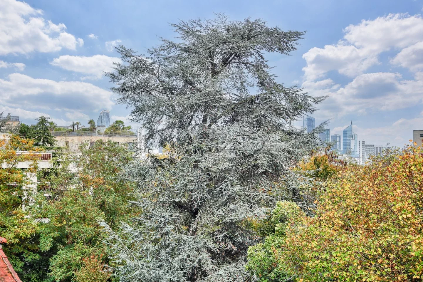 Saint-Cloud - MILONS