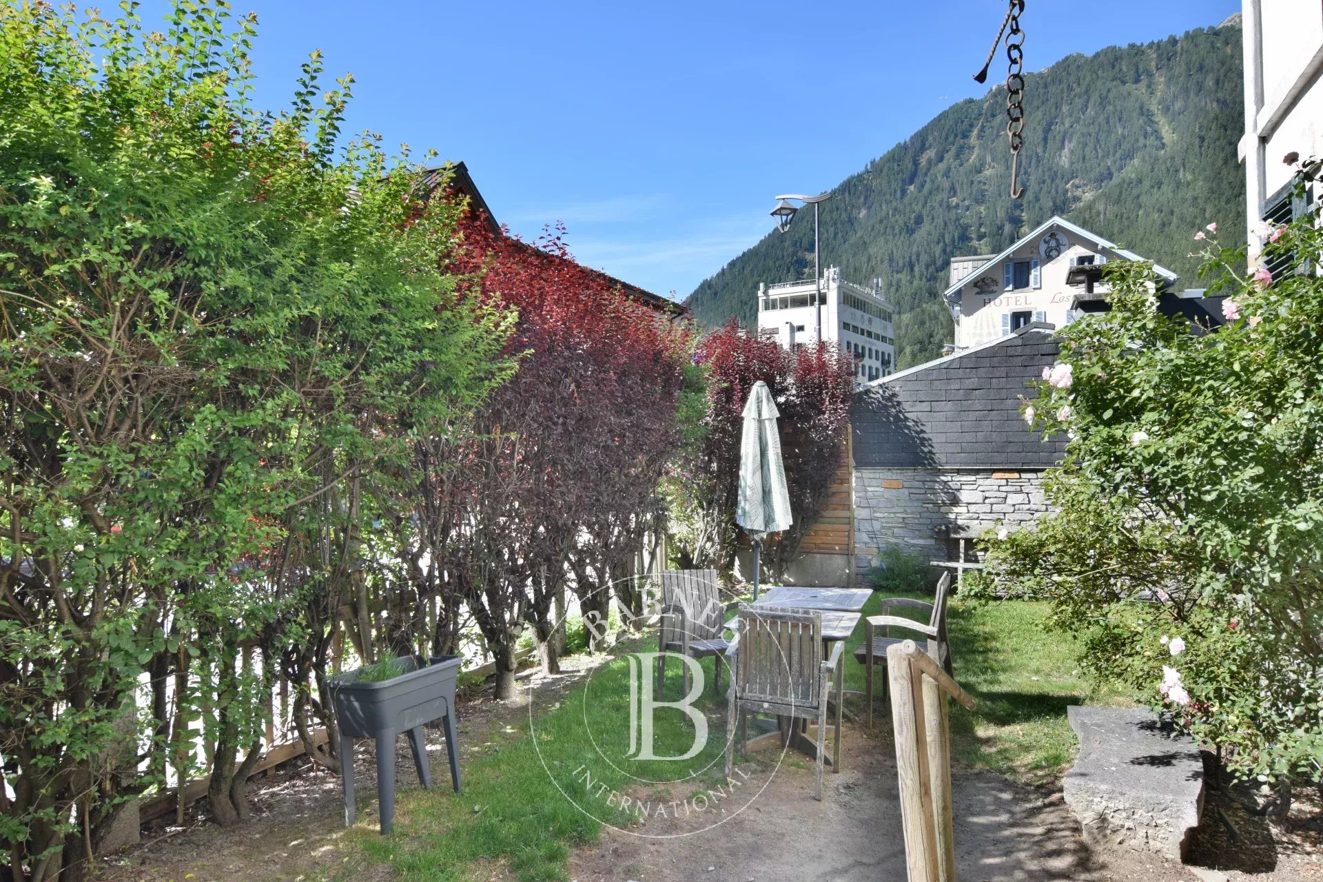 Ev Chamonix-Mont-Blanc - picture 15