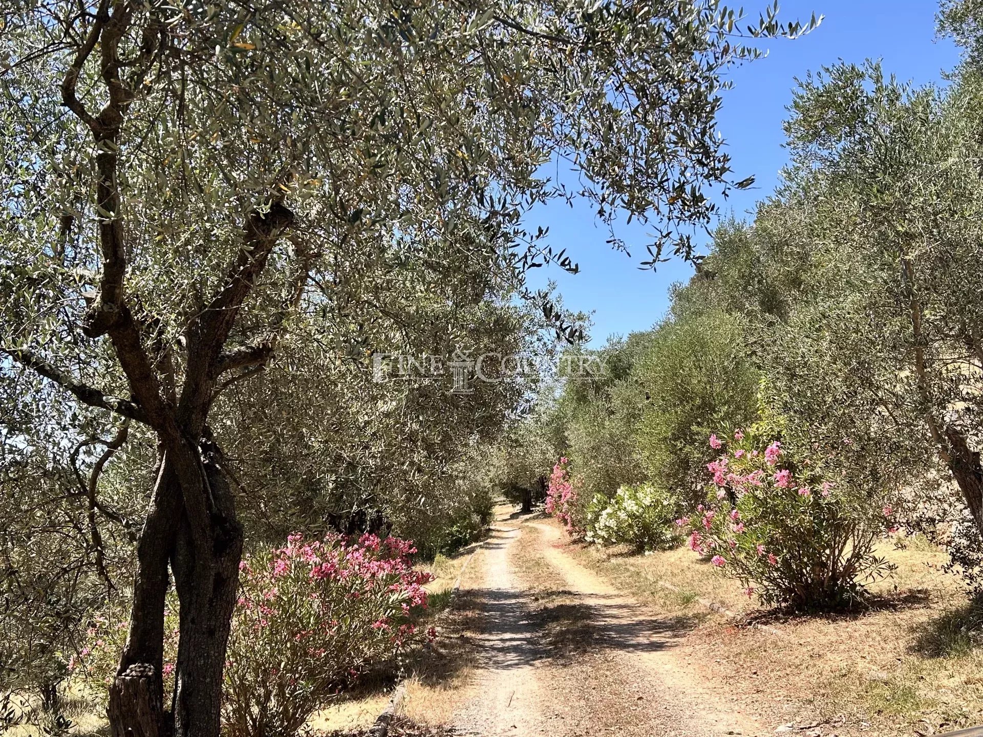 Photo of Estate for sale in Grasse