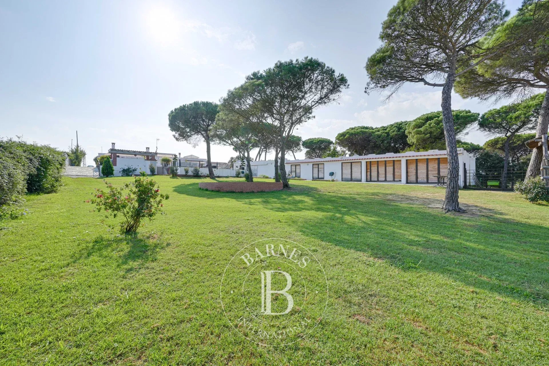 Çiftlik Vidreres - picture 10